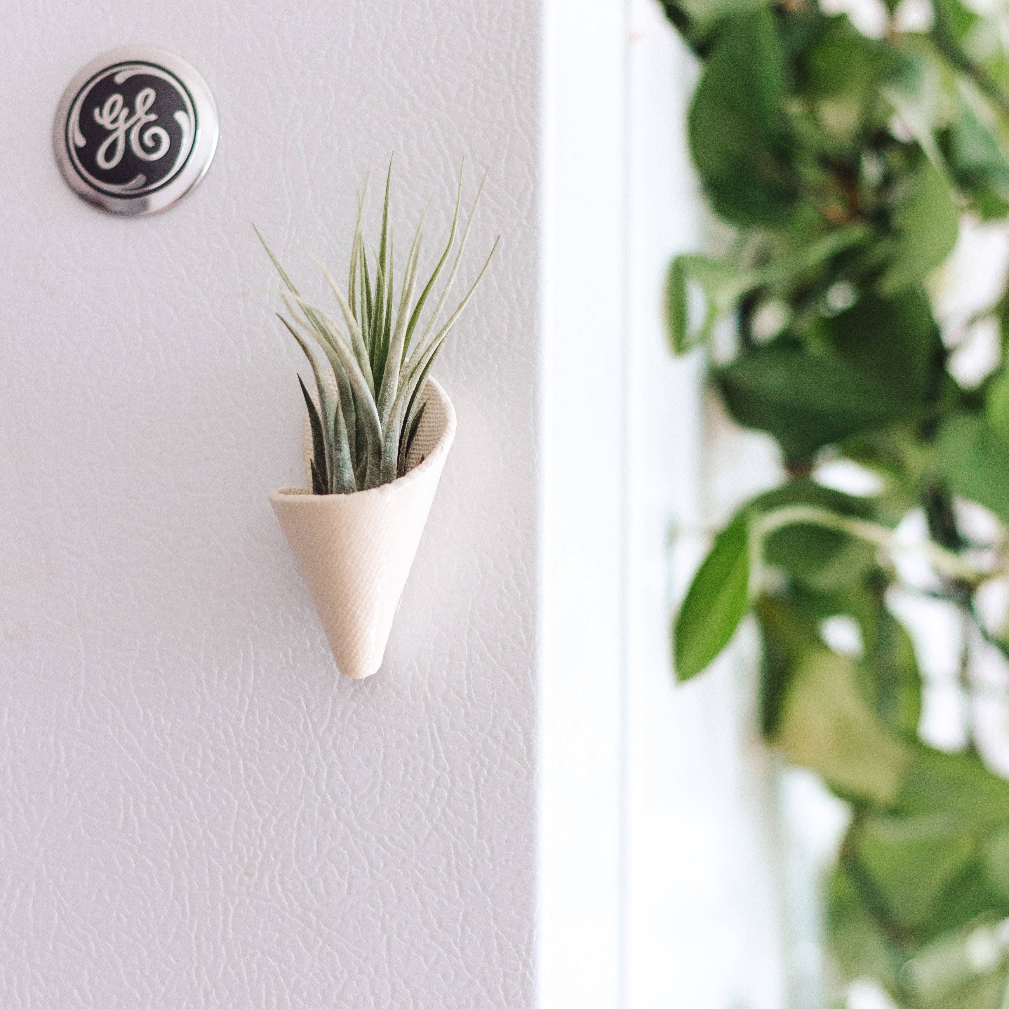 Tiny Ceramic Magnet Planter | Compact & Stylish Home Decor