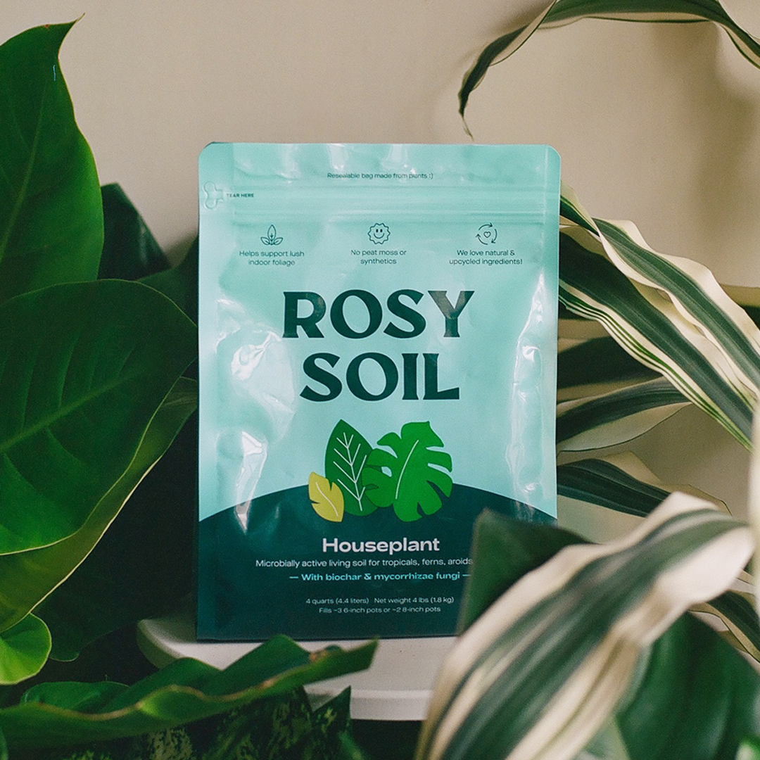 4qt Organic Potting Soil Mix | Ideal for Indoor Plants & Herbs