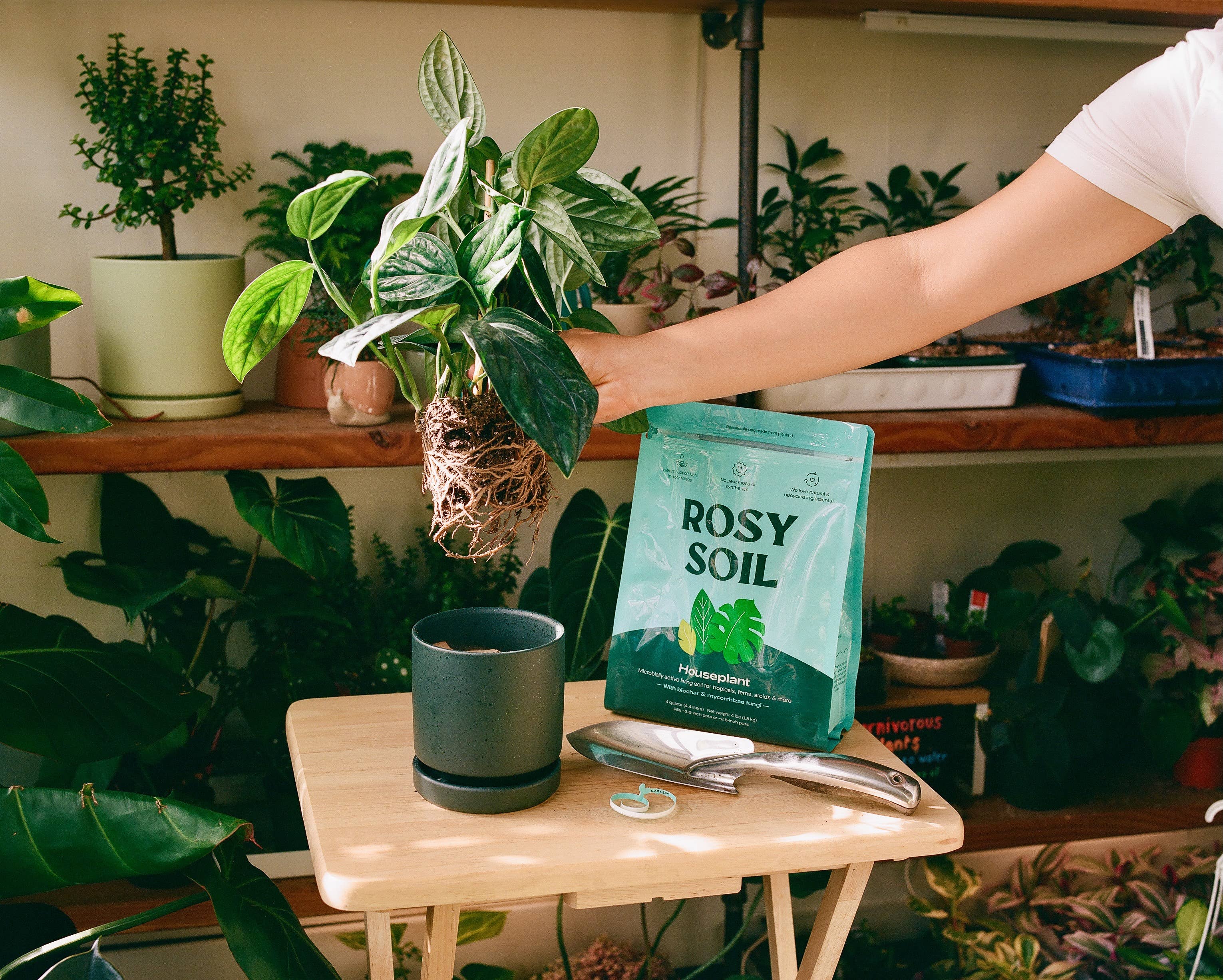 4qt Organic Potting Soil Mix | Ideal for Indoor Plants & Herbs