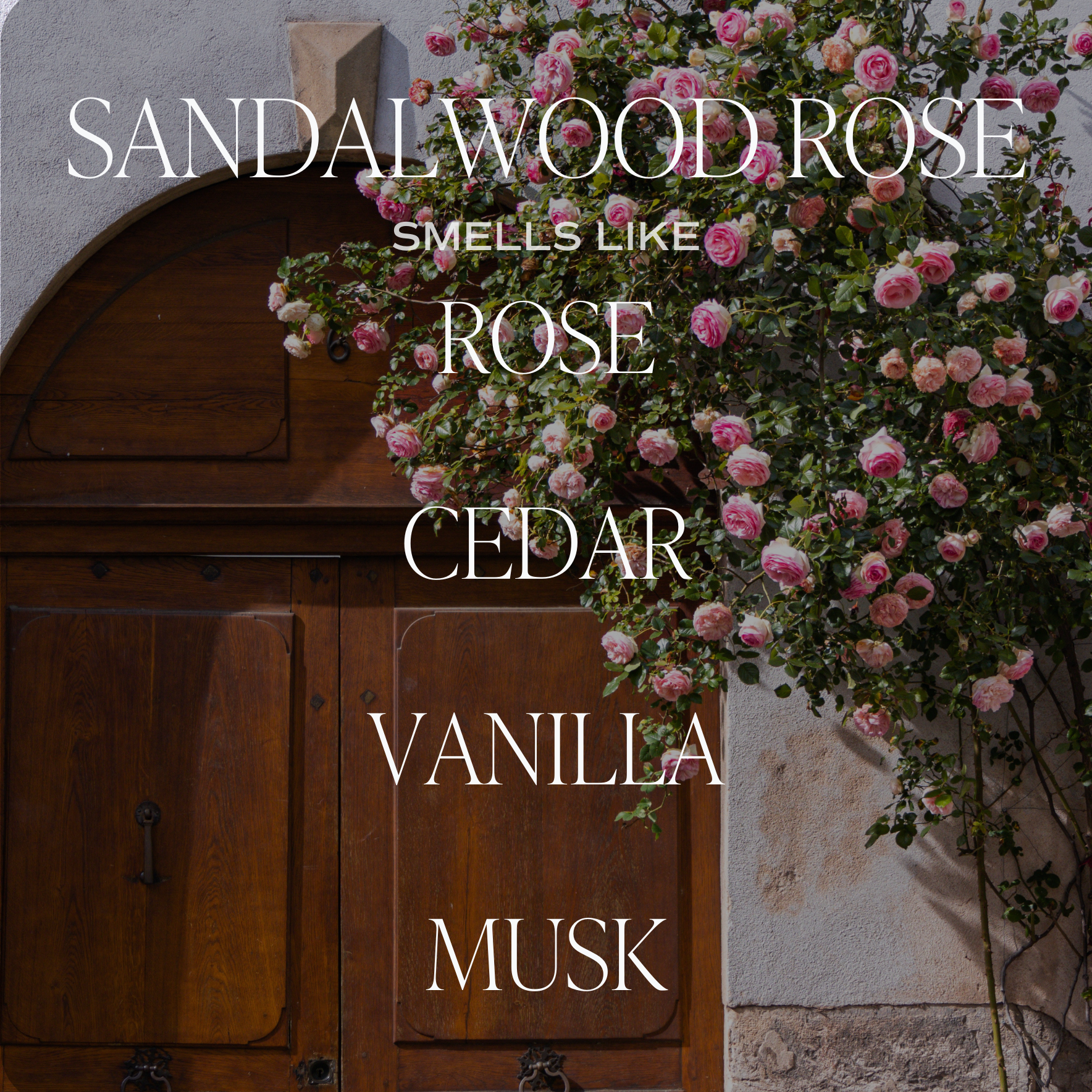 Sandalwood Rose | 9 oz Soy Candle