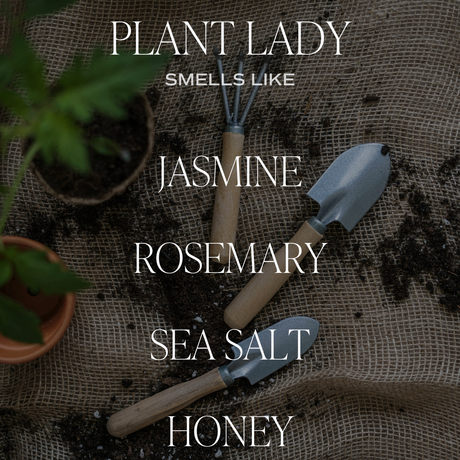 Plant Lady | 9 oz Soy Candle | Fresh, Earthy Scent