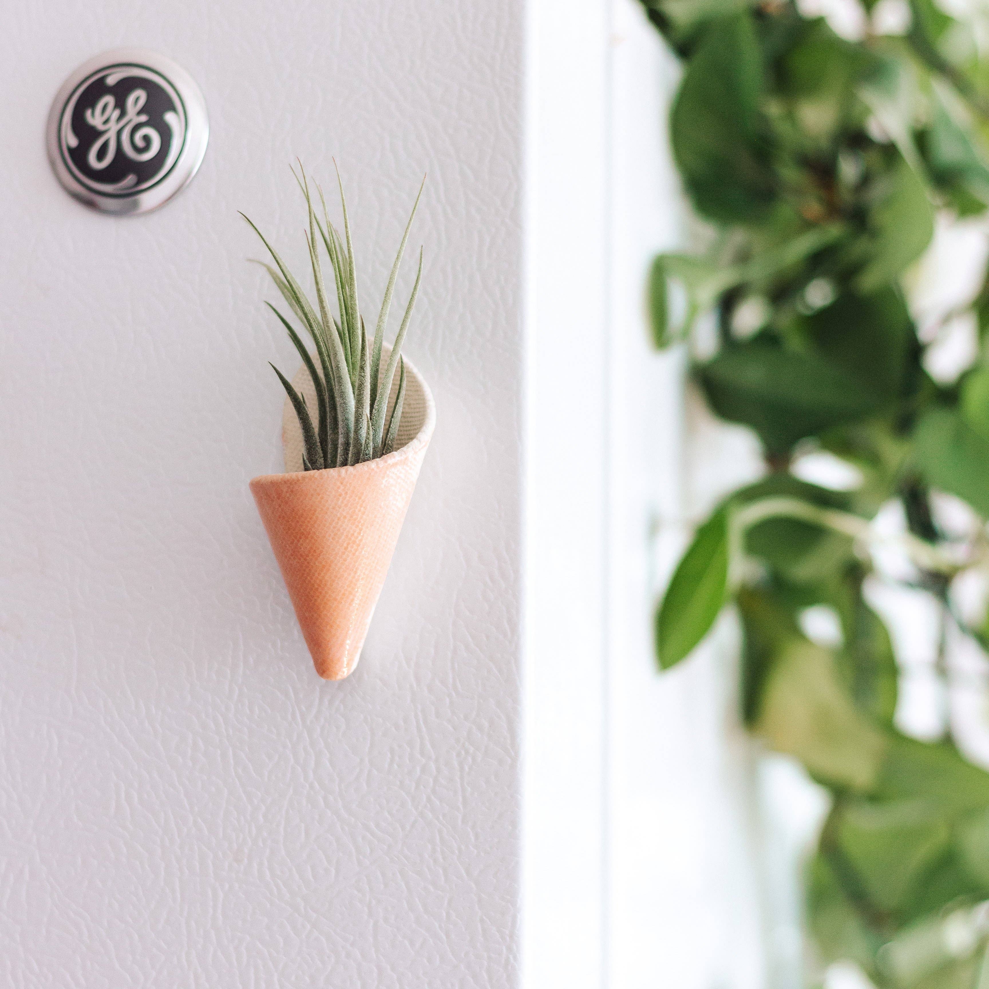 Tiny Ceramic Magnet Planter | Compact & Stylish Home Decor