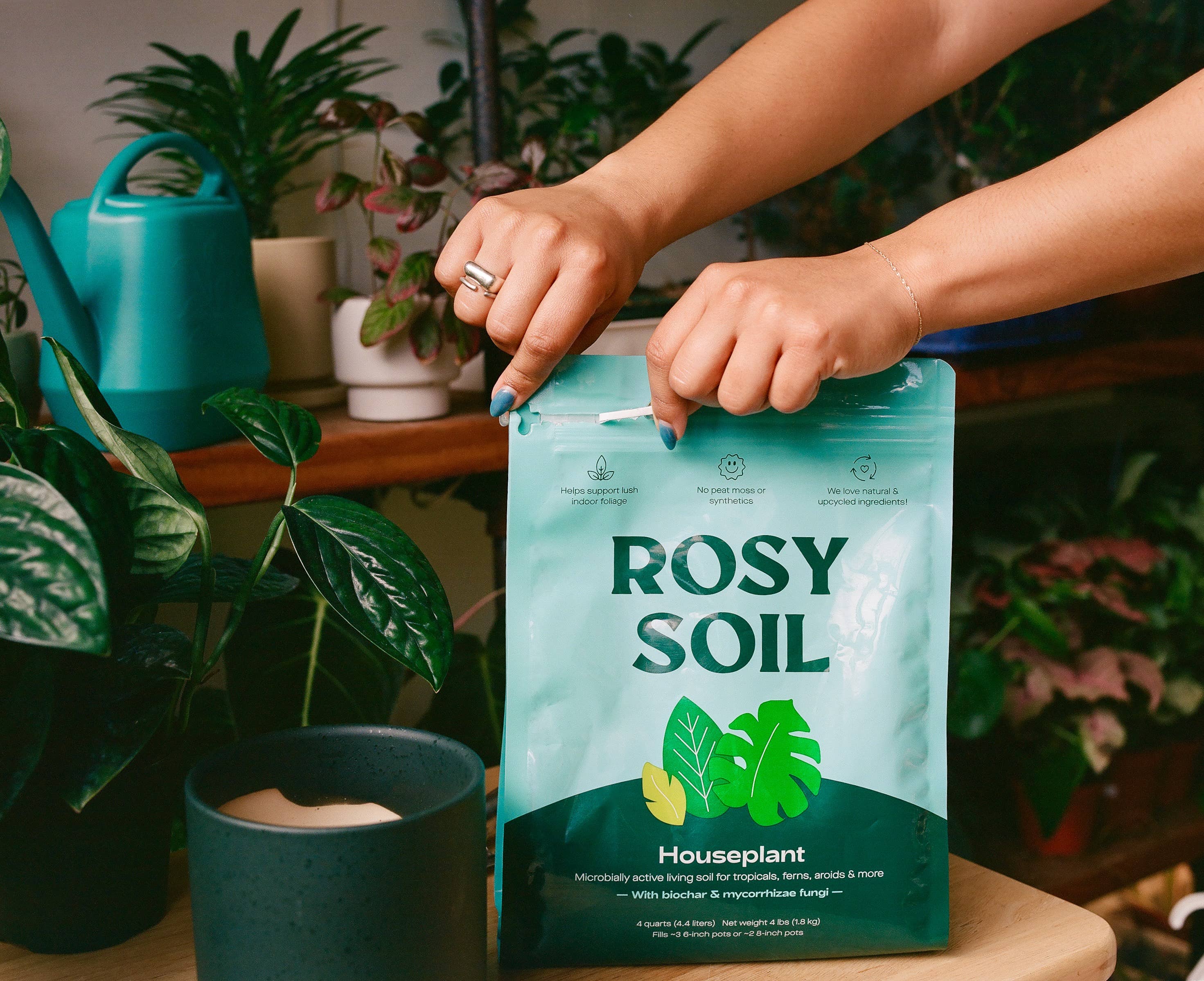 4qt Organic Potting Soil Mix | Ideal for Indoor Plants & Herbs