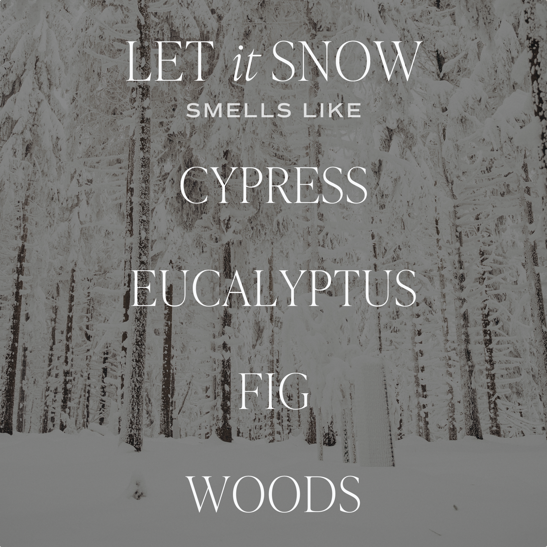 Let It Snow | 15 oz Soy Candle, Matte Jar