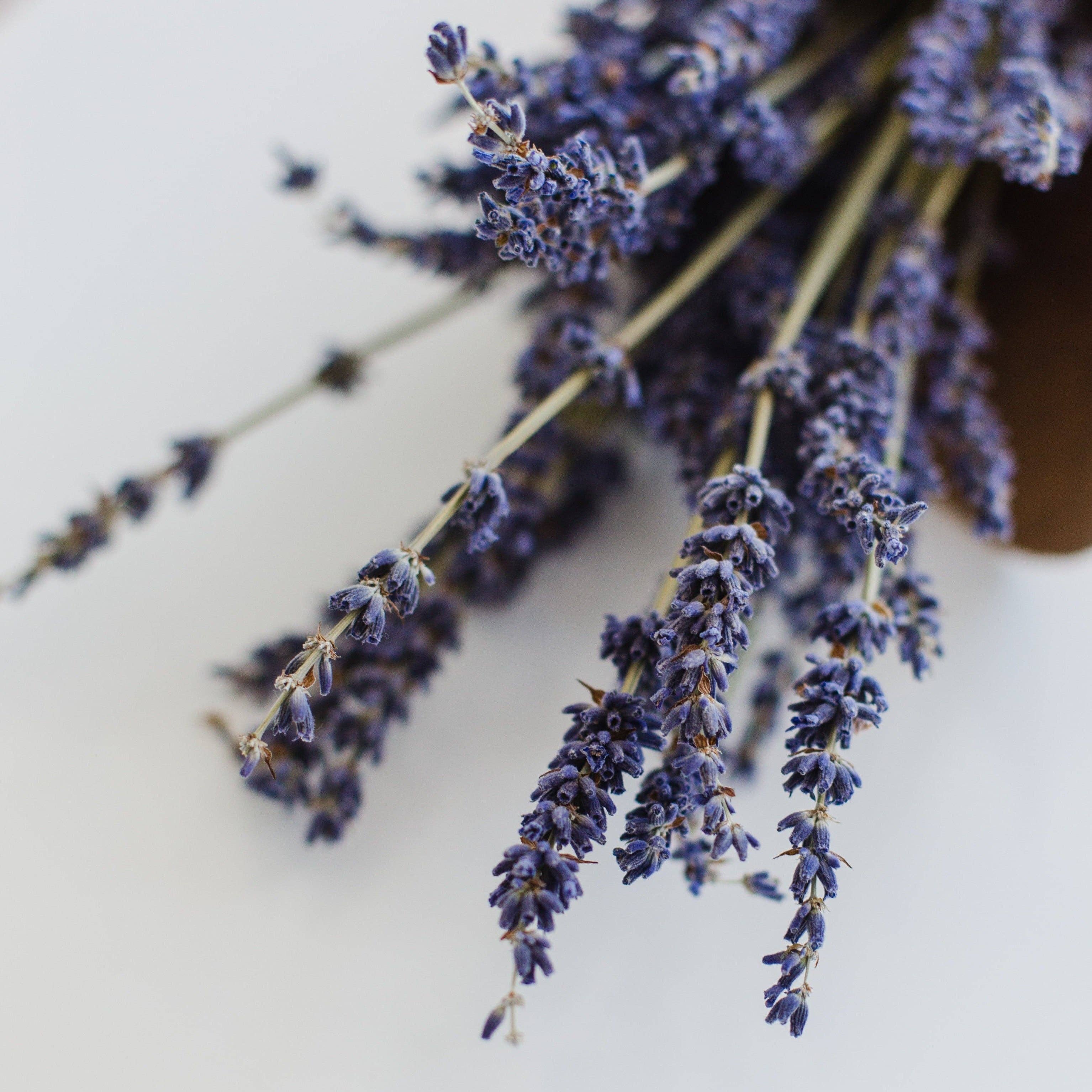 Lavender Earl Grey Black Tea | Mini Tube Gift with 5 Bags