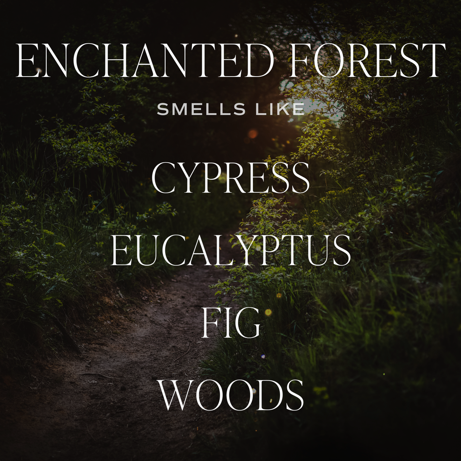 Enchanted Forest | 15 oz Soy Candle, Matte Jar