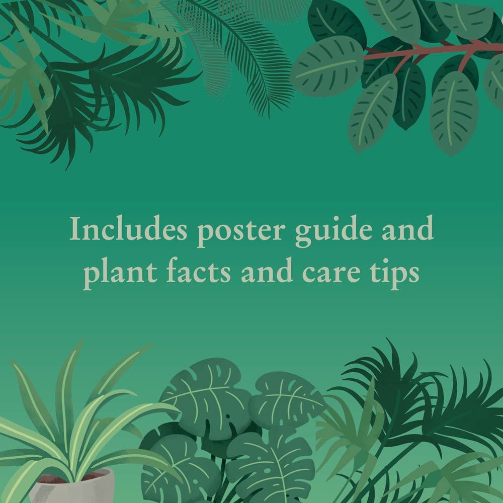 Houseplants 1000 Piece Jigsaw Puzzle | Nature-Inspired Challenge