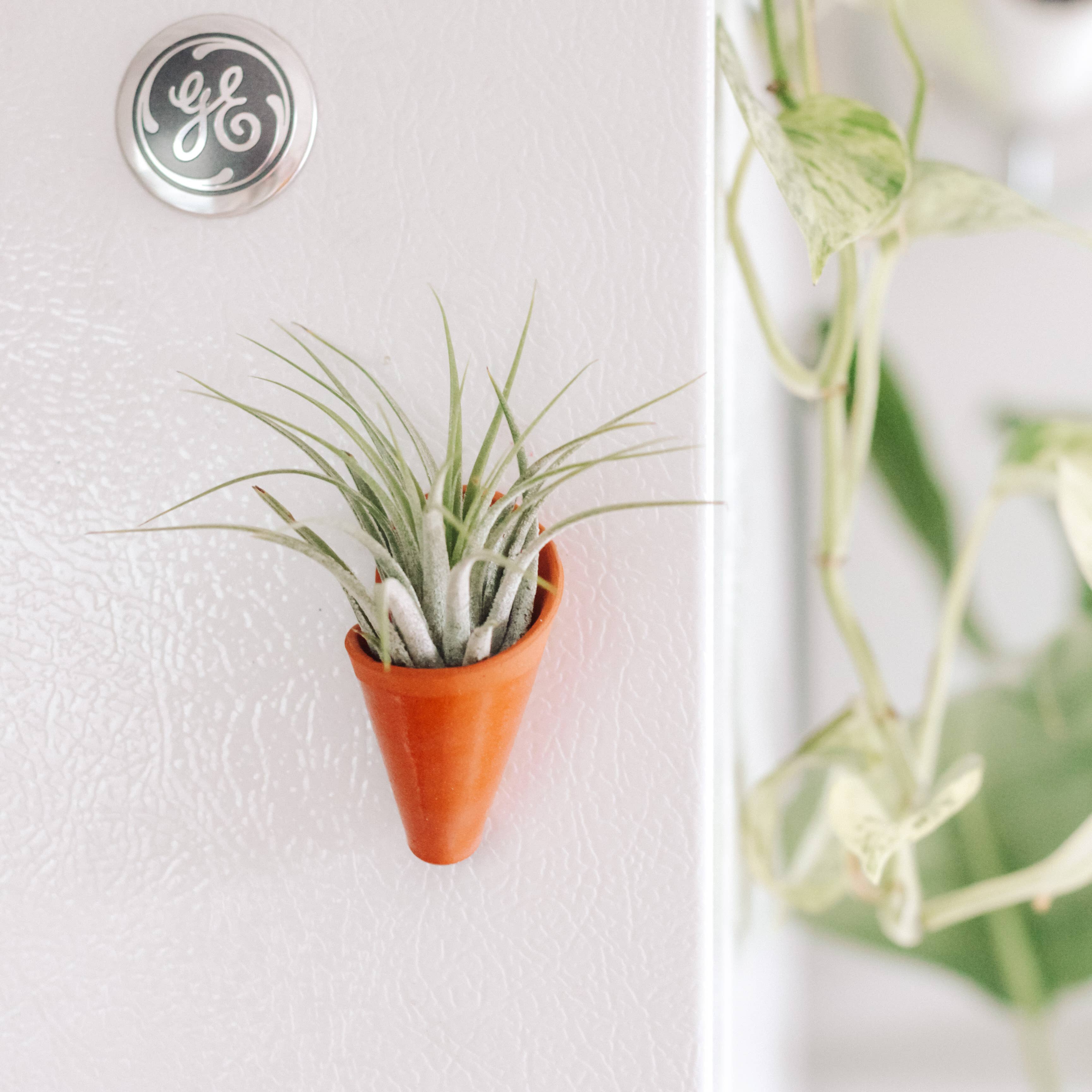 Tiny Ceramic Magnet Planter | Compact & Stylish Home Decor