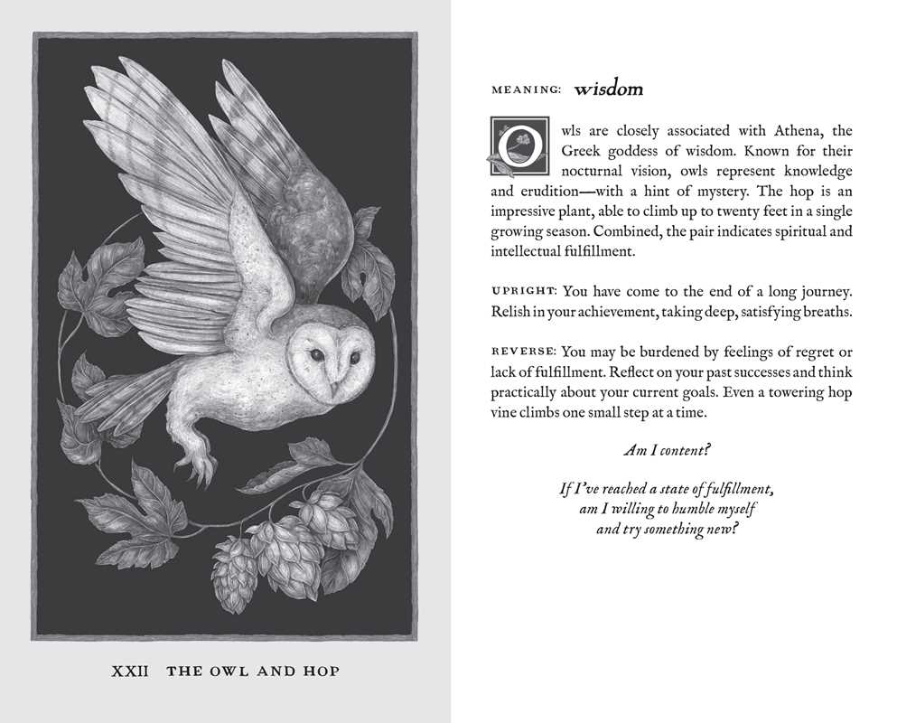 Woodland Wardens by Jessica Roux