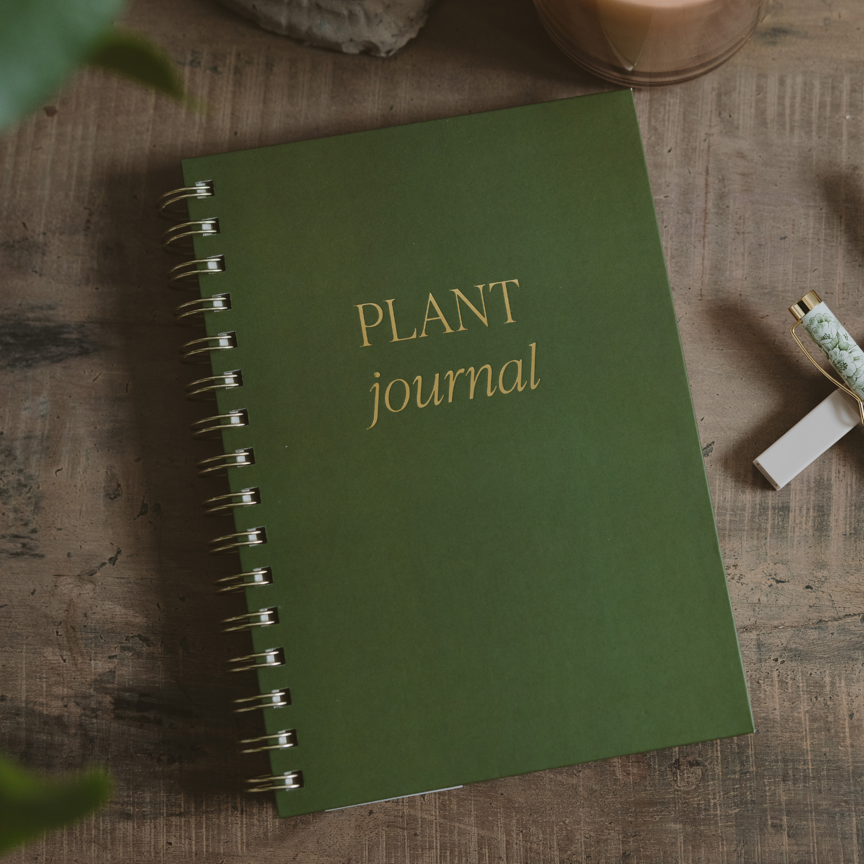 Indoor/Outdoor Plant Journal