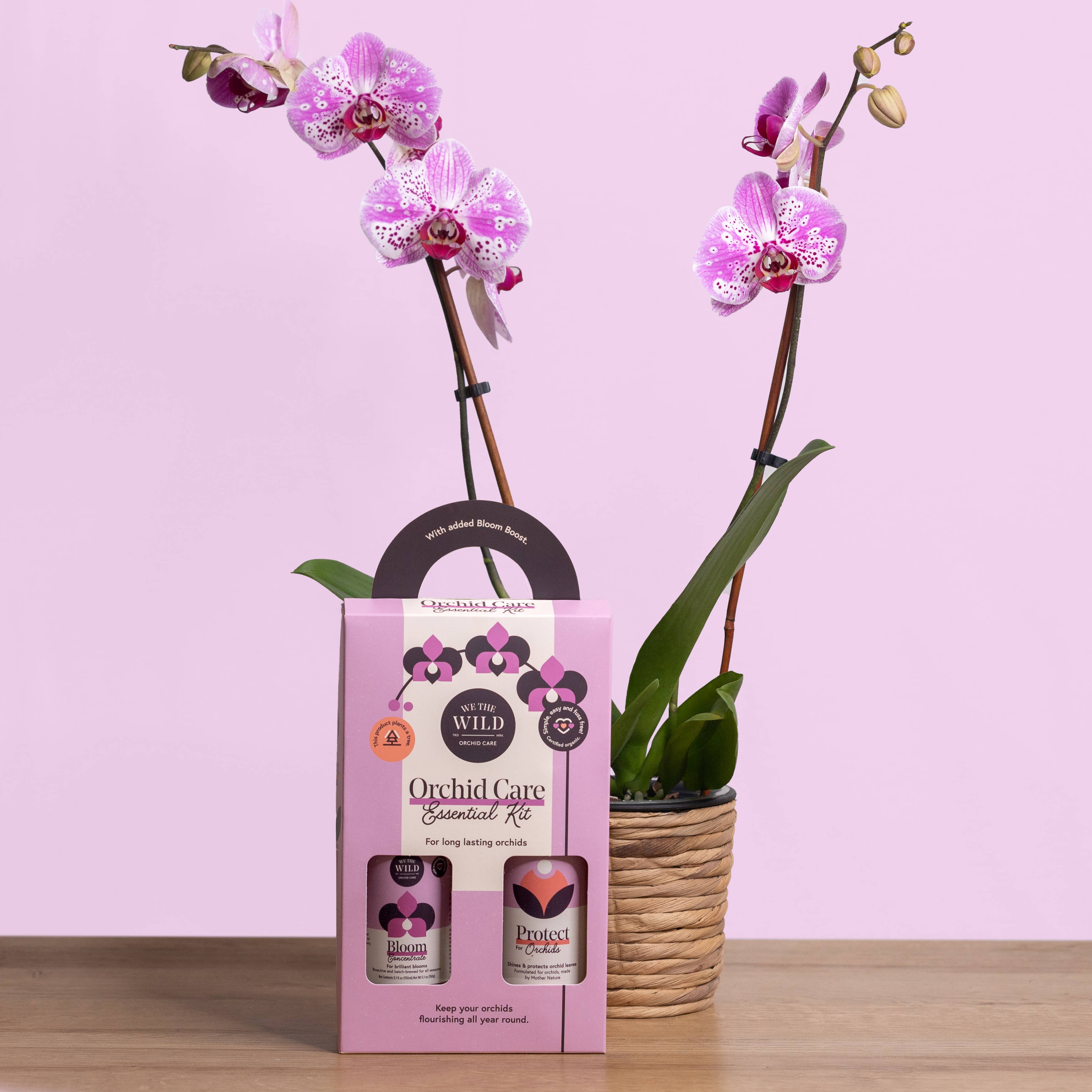 Orchid Care Essential Kit