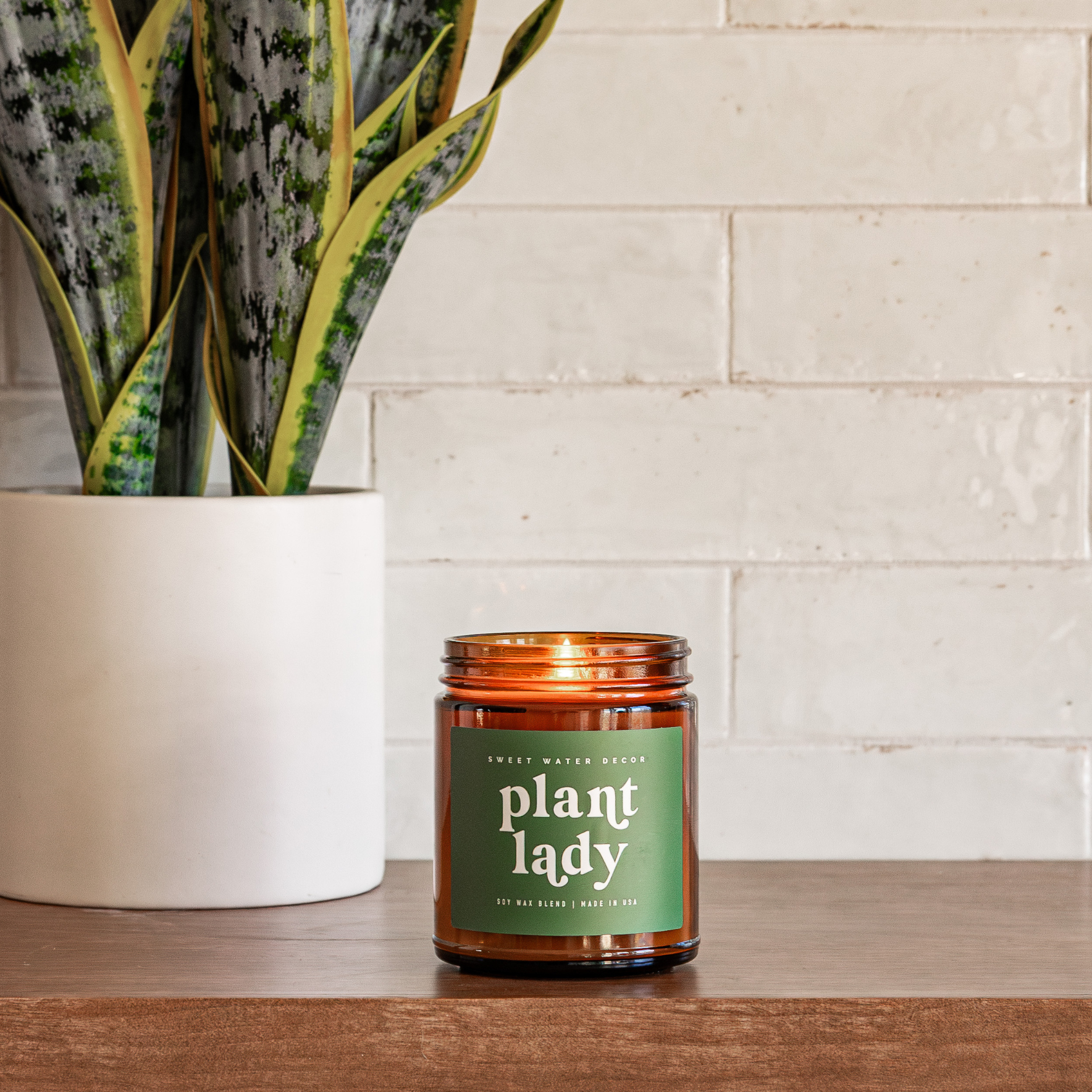 Plant Lady | 9 oz Soy Candle | Fresh, Earthy Scent