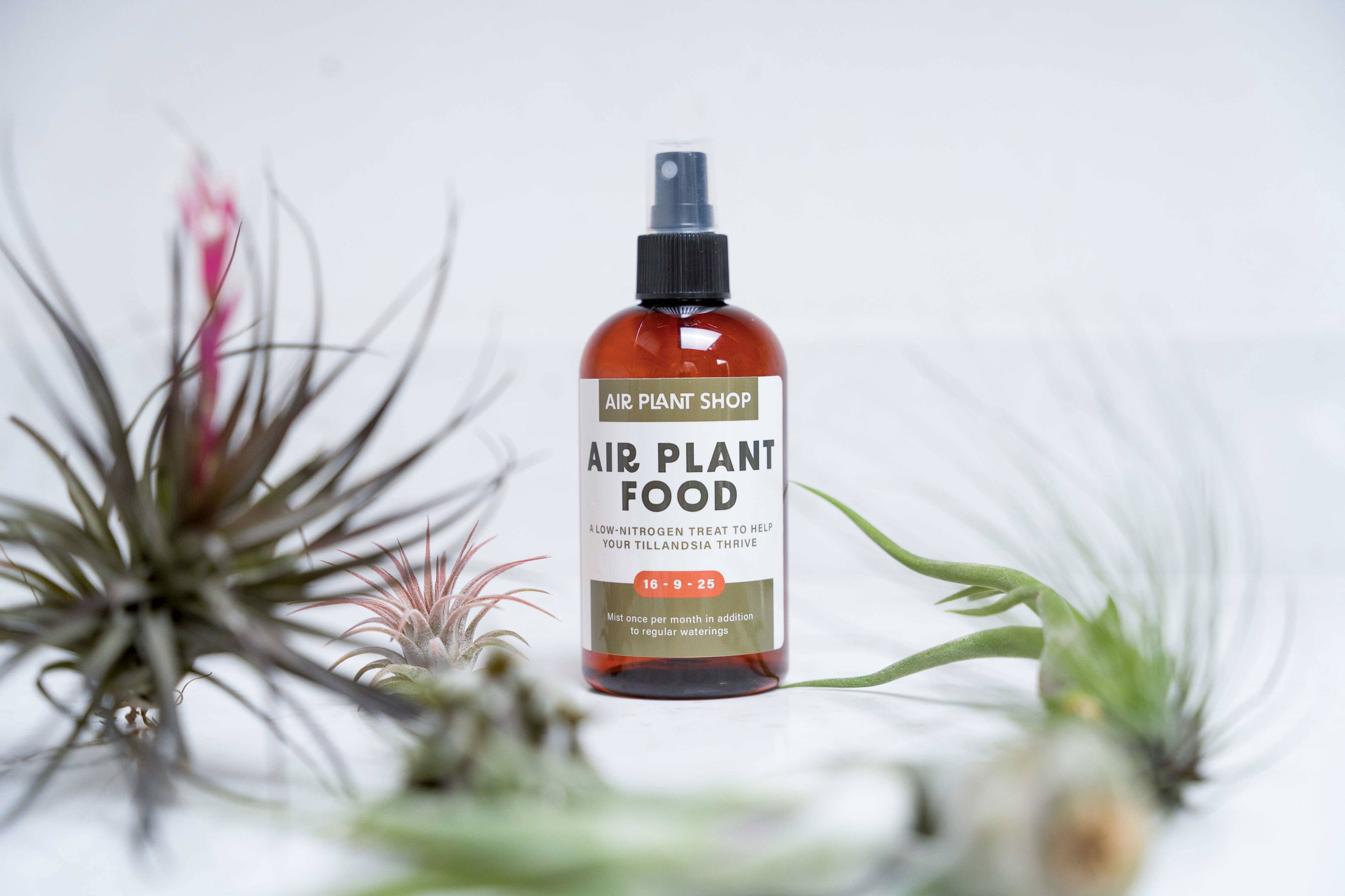 Tillandsia Air Plant Fertilizer | Ready-To-Use Formula