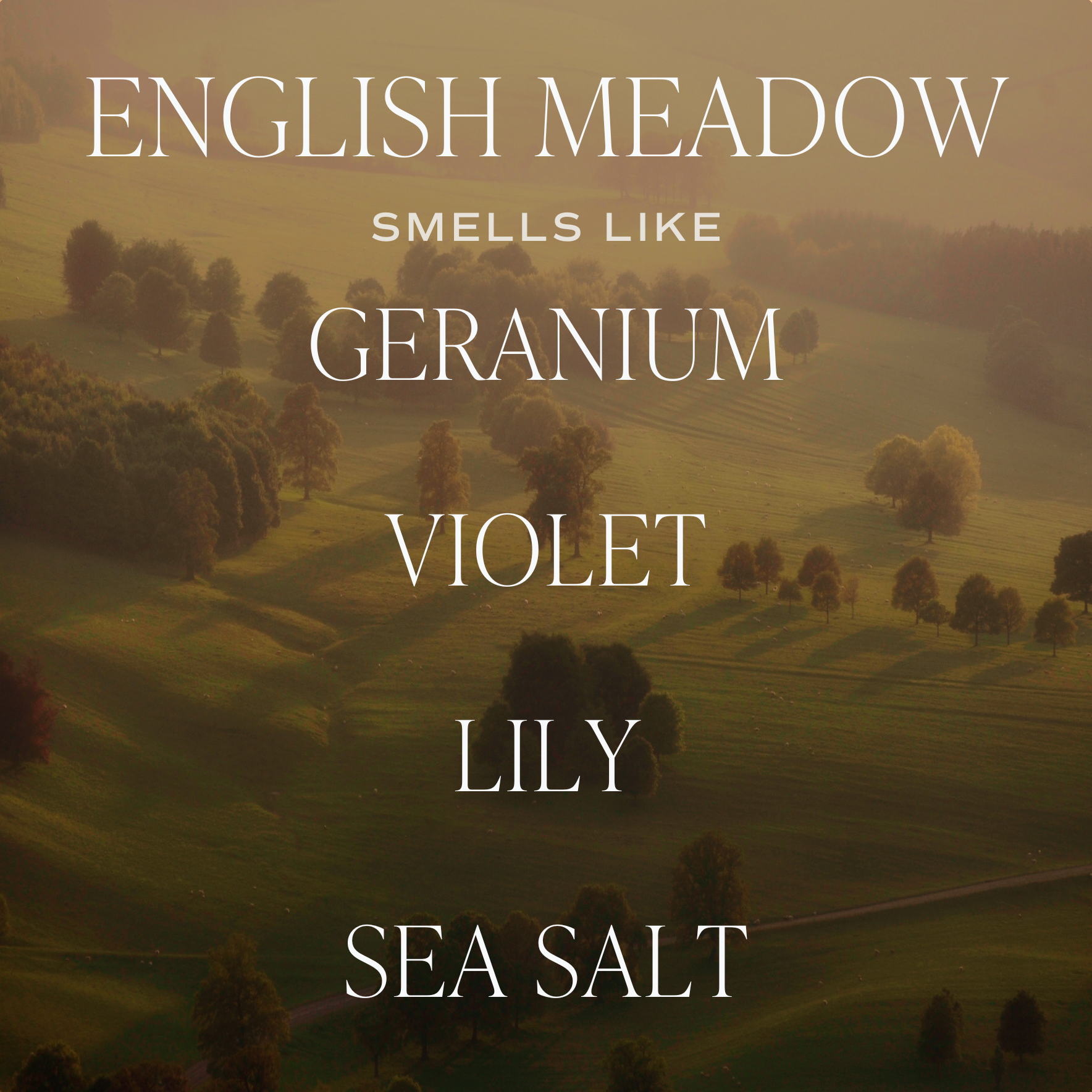 English Meadow | 15 oz Soy Candle, Matte Jar