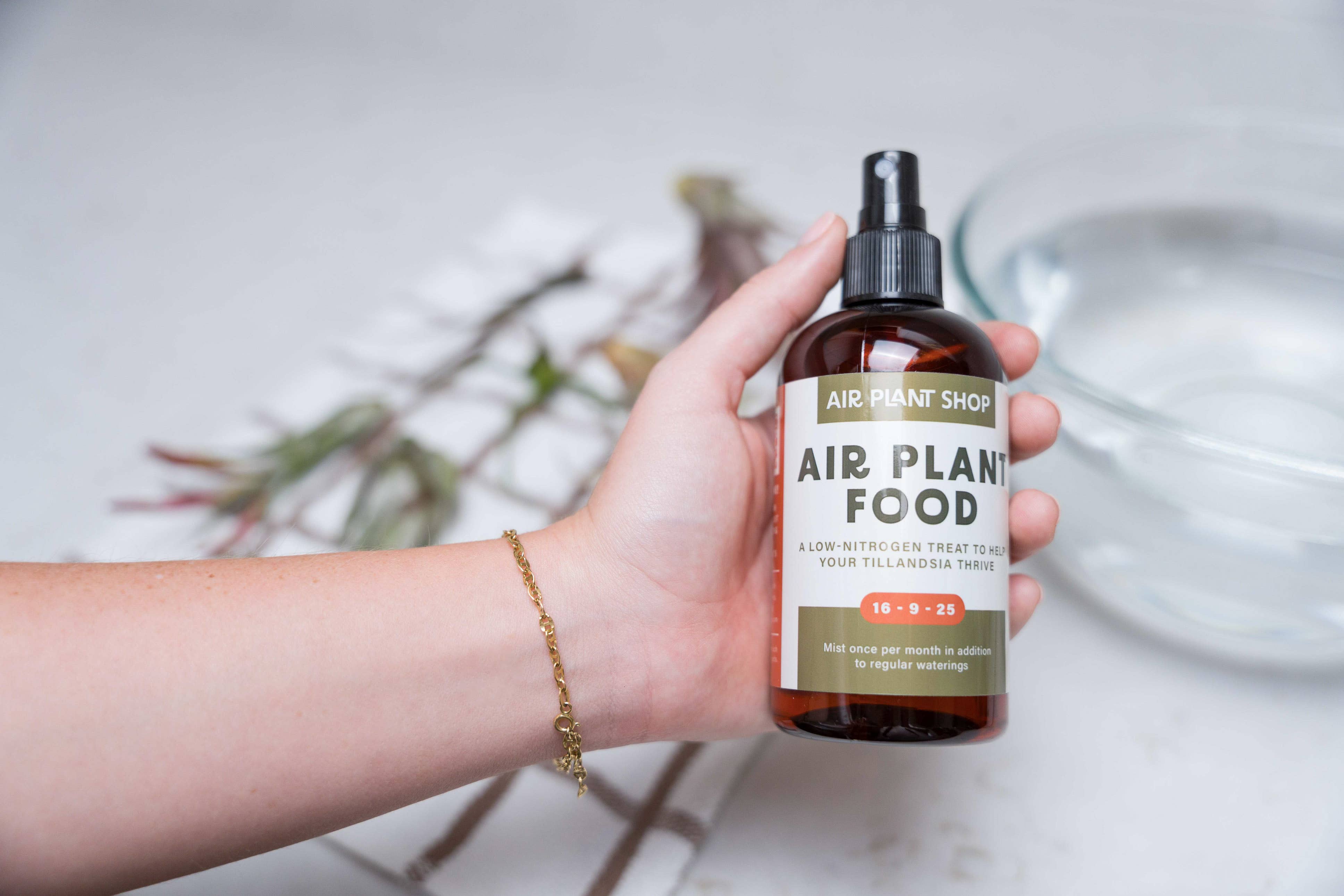 Tillandsia Air Plant Fertilizer | Ready-To-Use Formula
