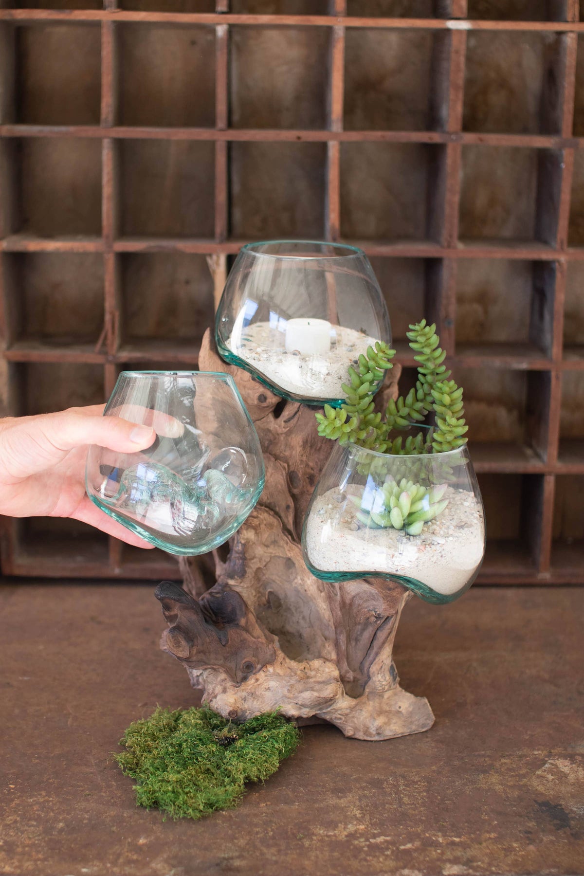 Blown Glass Bowls on Driftwood Base | Sculptural Decor