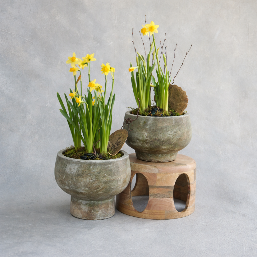 Spring Bulb Planting