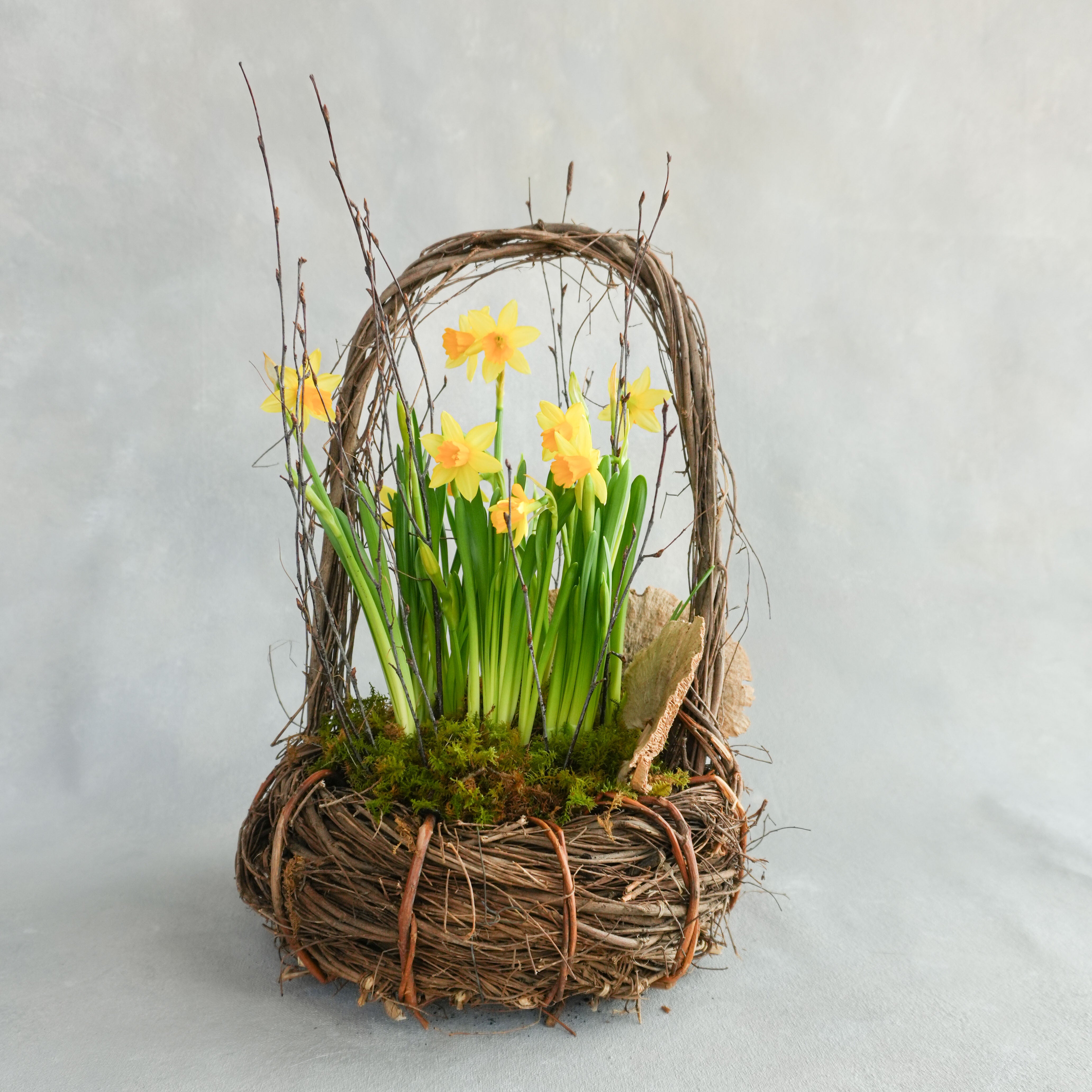 Spring Bulb Planting