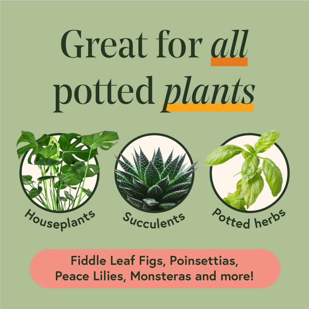 Proud Plant Parent Kit