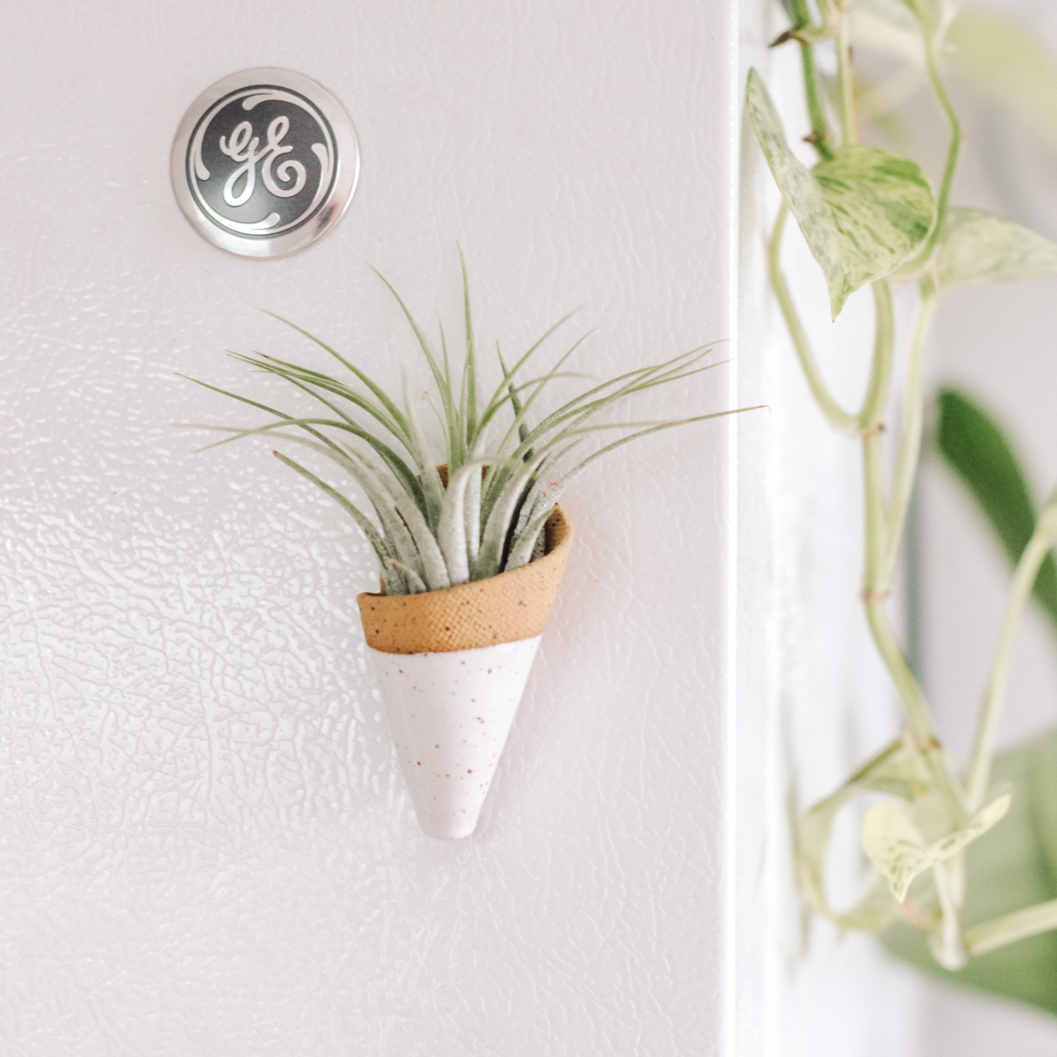 Tiny Ceramic Magnet Planter | Compact & Stylish Home Decor