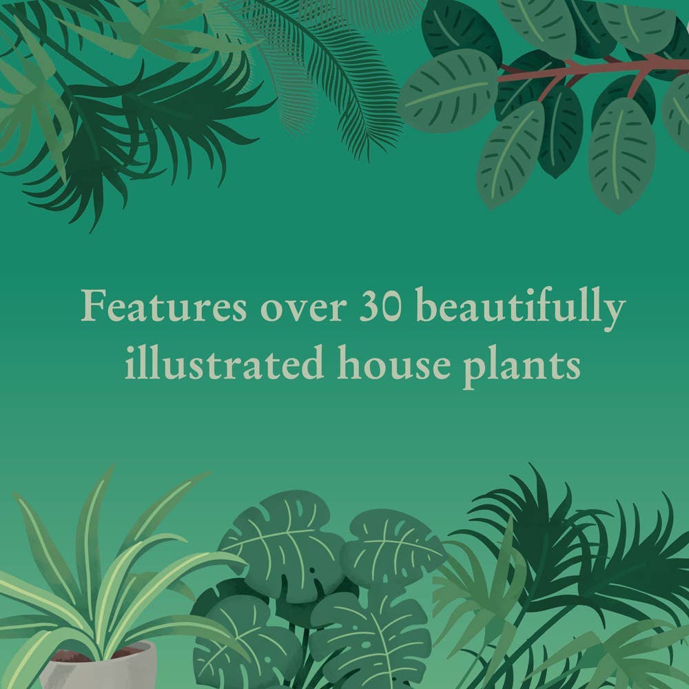 Houseplants 1000 Piece Jigsaw Puzzle | Nature-Inspired Challenge