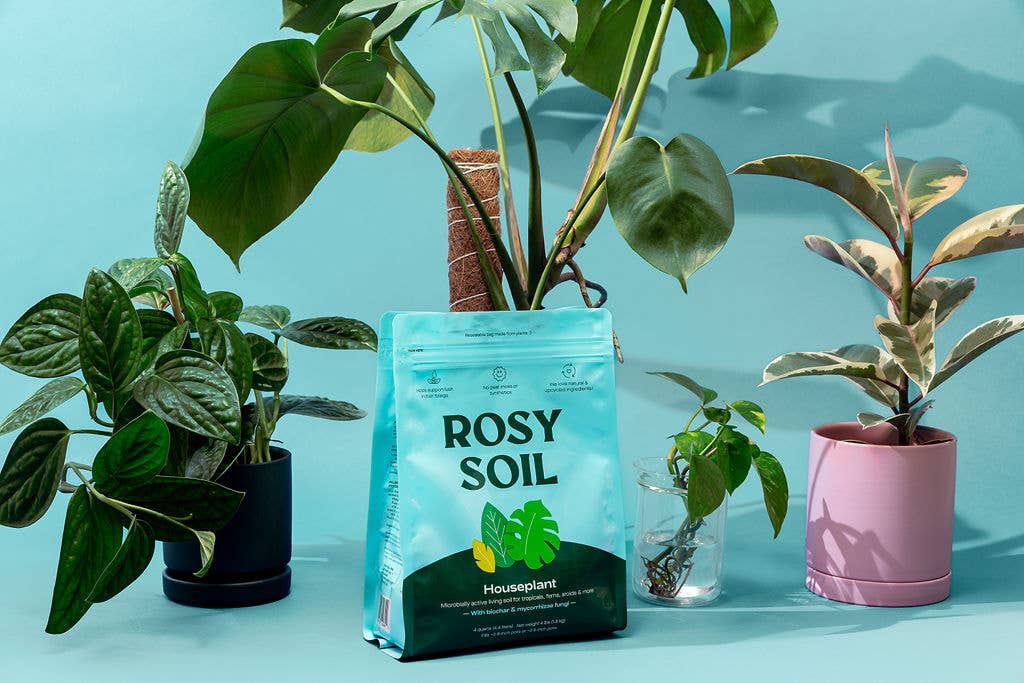 4qt Organic Potting Soil Mix | Ideal for Indoor Plants & Herbs