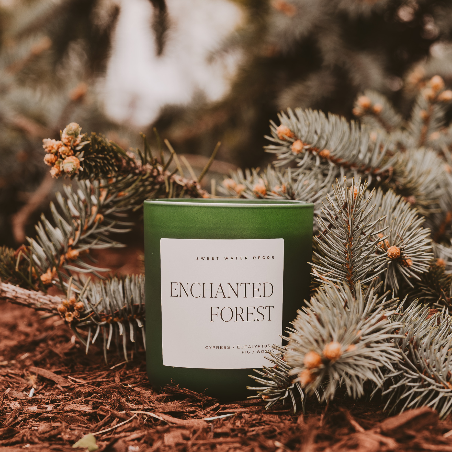 Enchanted Forest | 15 oz Soy Candle, Matte Jar