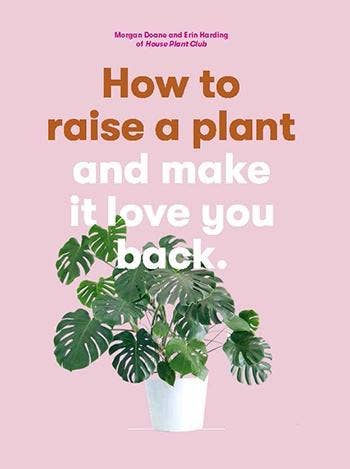 How to Raise a Plant | Essential Guide for Plant Care