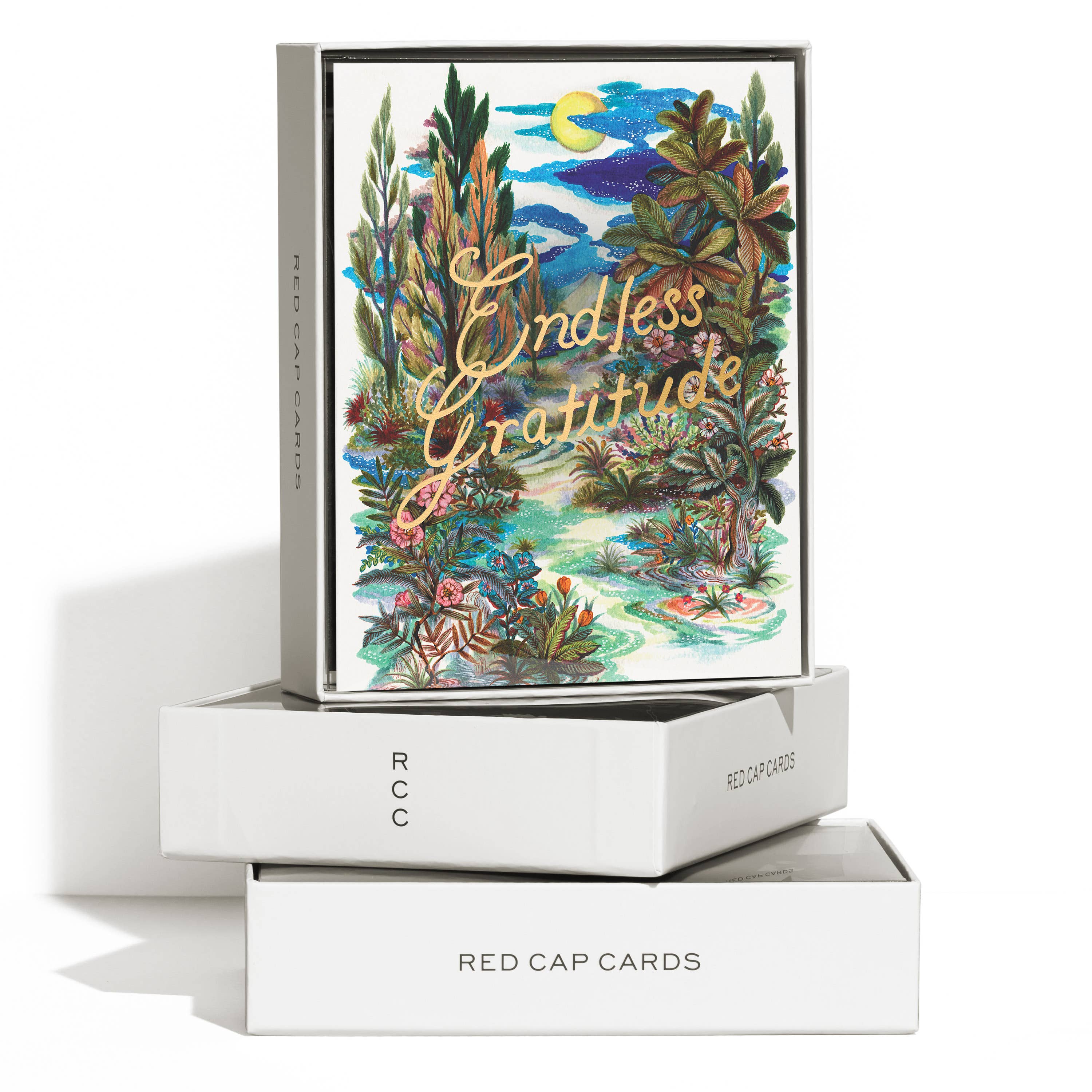 Endless Gratitude Thank You Card | Heartfelt Message
