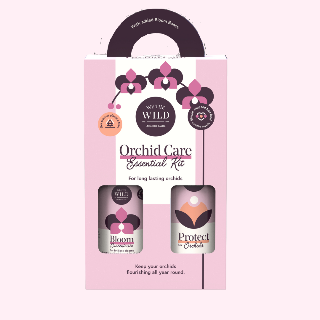 Orchid Care Essential Kit