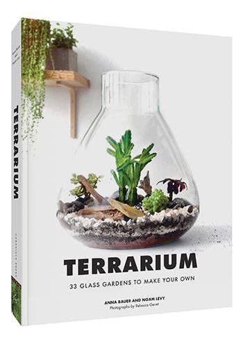 Terrarium - Beautiful Glass Display for Plants and Succulents