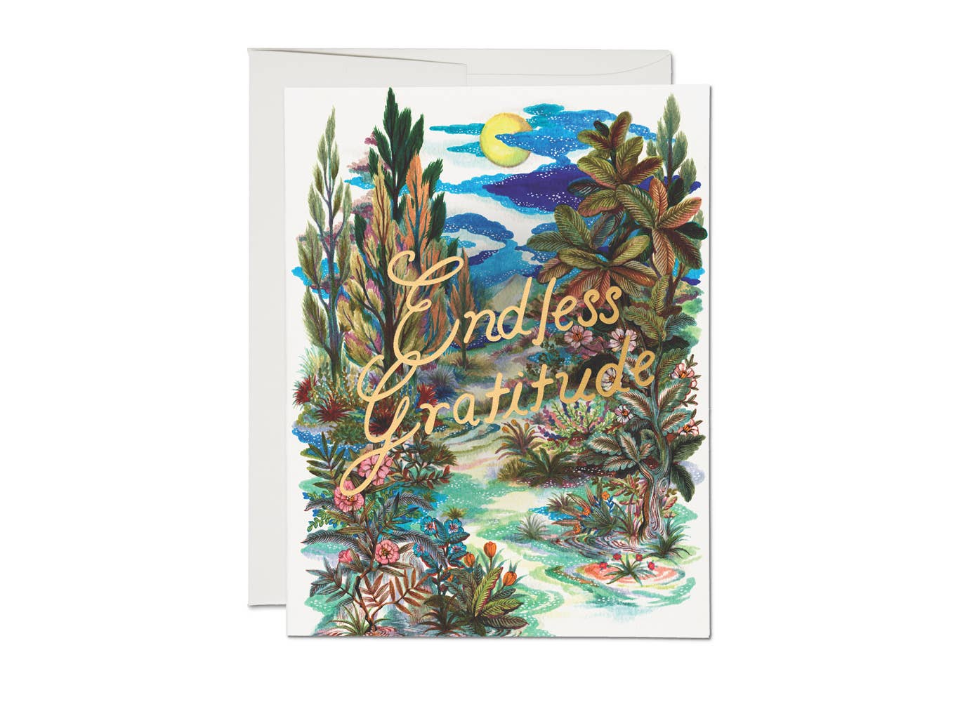 Endless Gratitude Thank You Card | Heartfelt Message