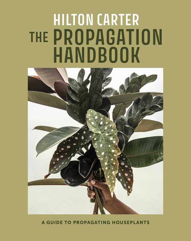 Propagation Handbook by Hilton Carter