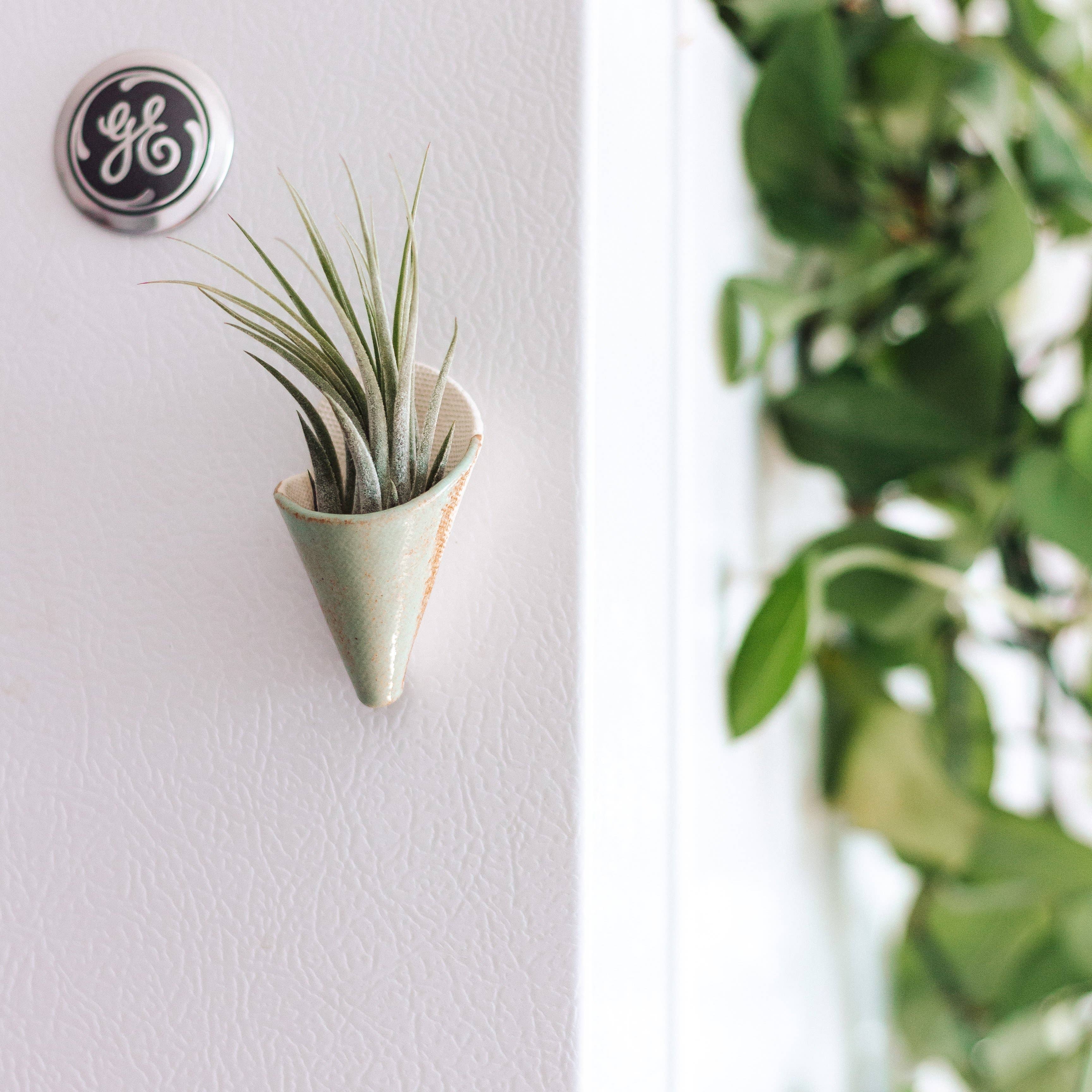 Tiny Ceramic Magnet Planter | Compact & Stylish Home Decor