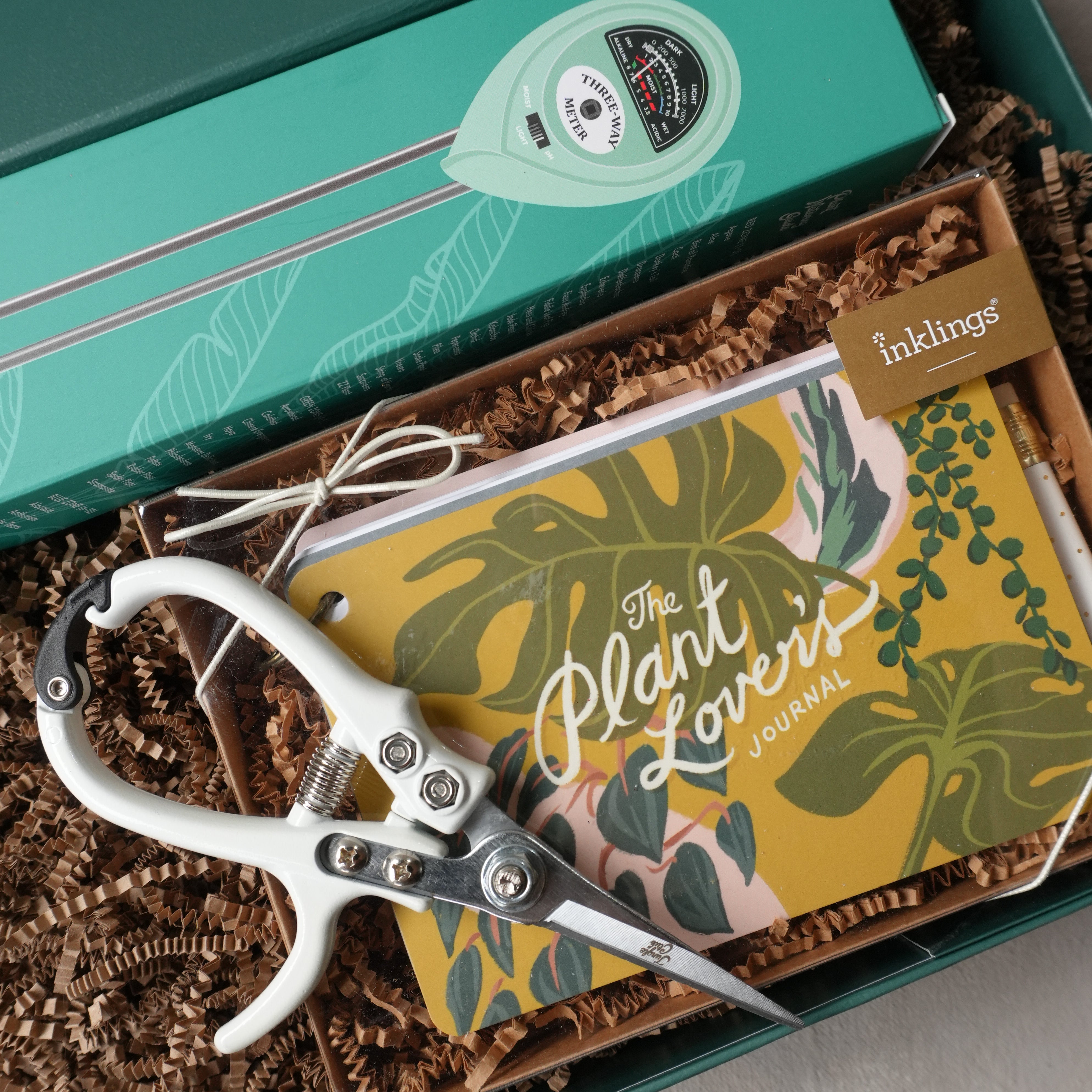 Curated Gift Box | Gifts for the Green Thumb