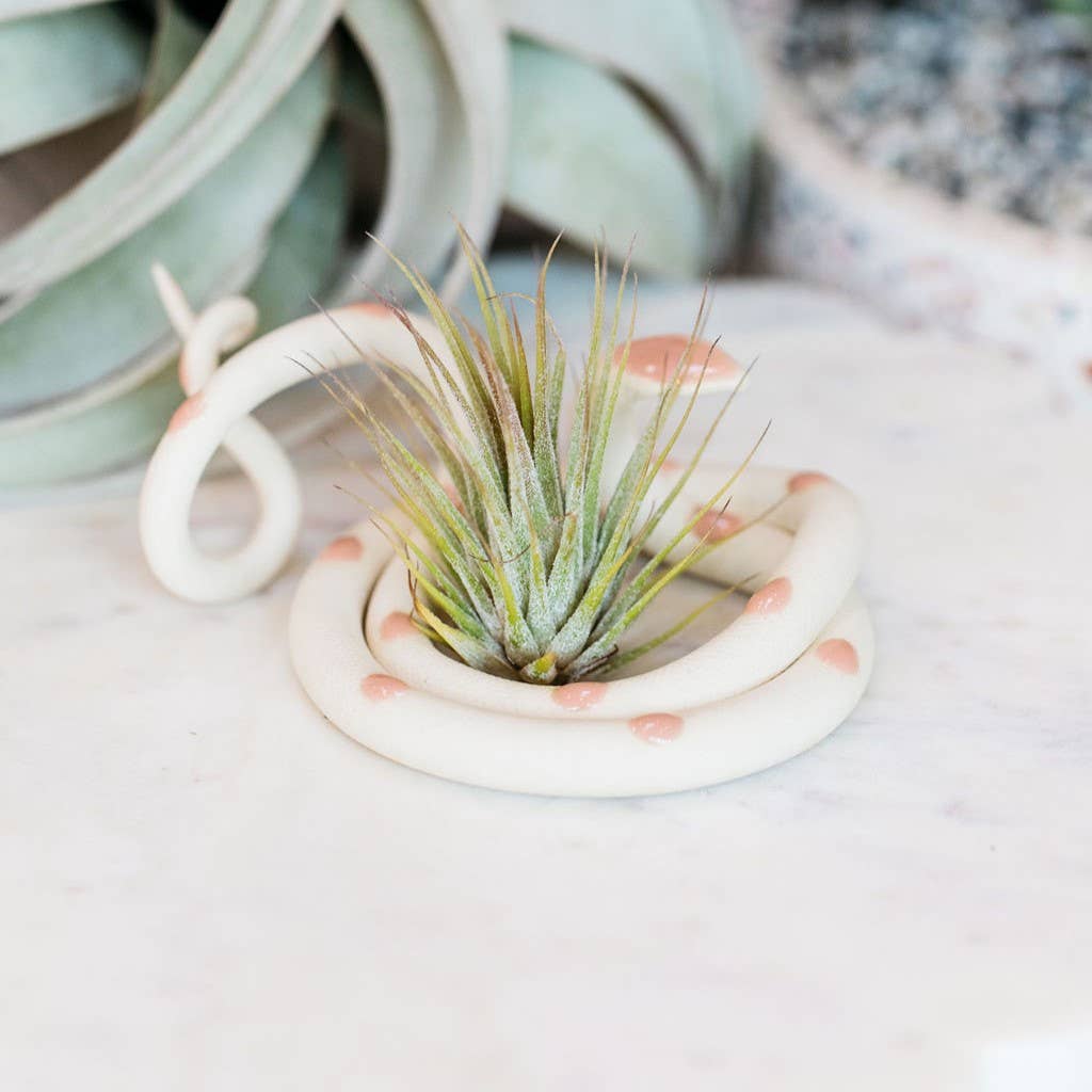 Medium Ceramic Snake | Unique Decorative Accent