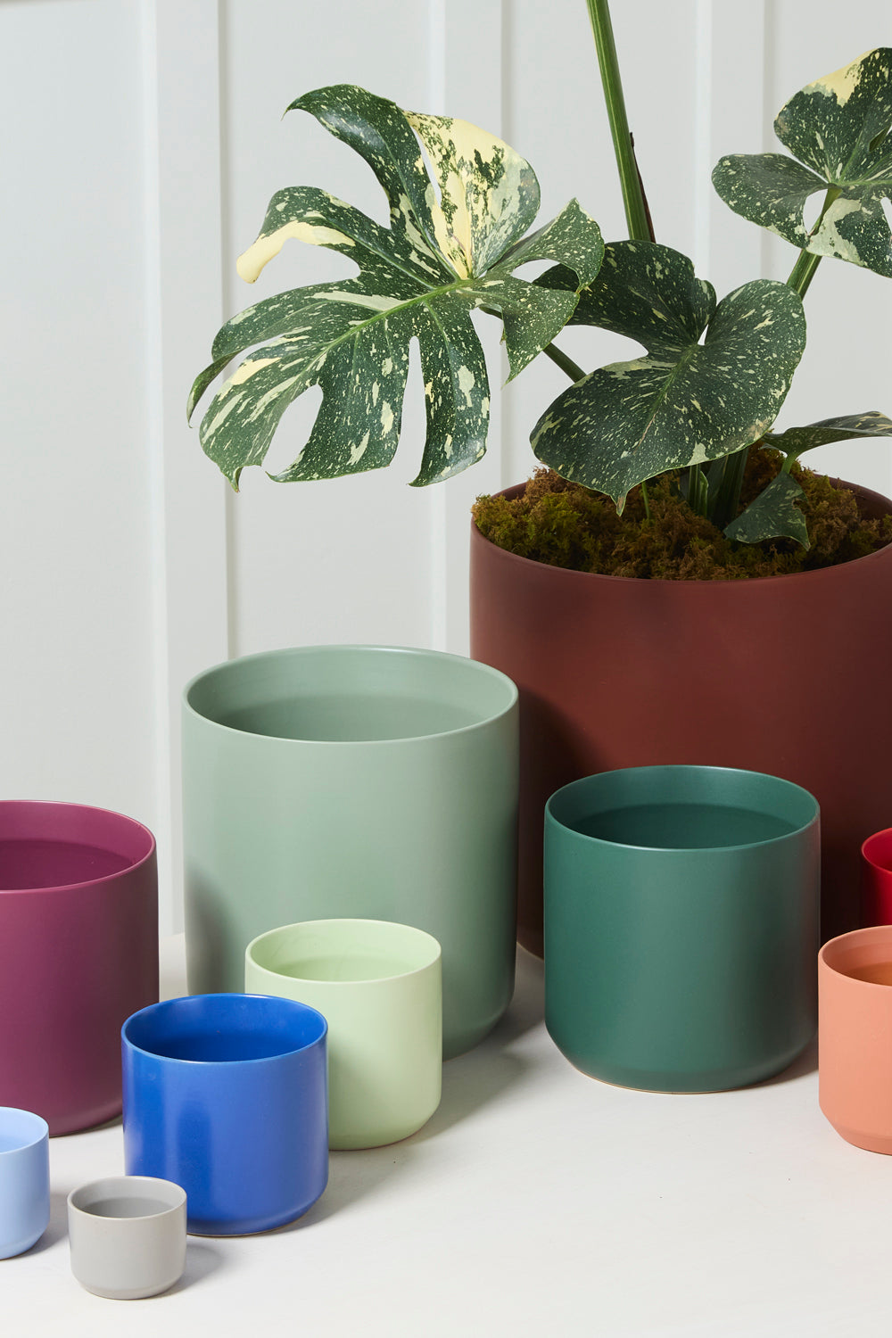 Kendall Pot