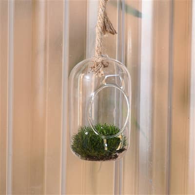 Sole Hanging Glass Terrarium