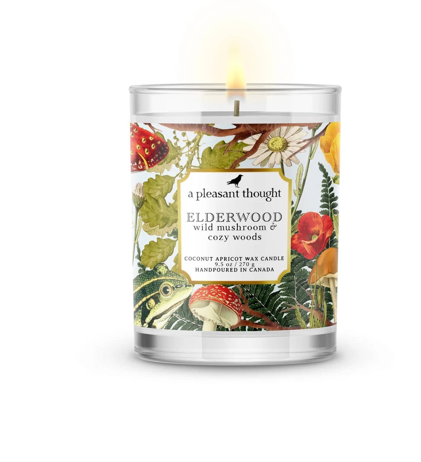 ELDERWOOD | WILD MUSHROOM & COZY WOODS | CANDLE