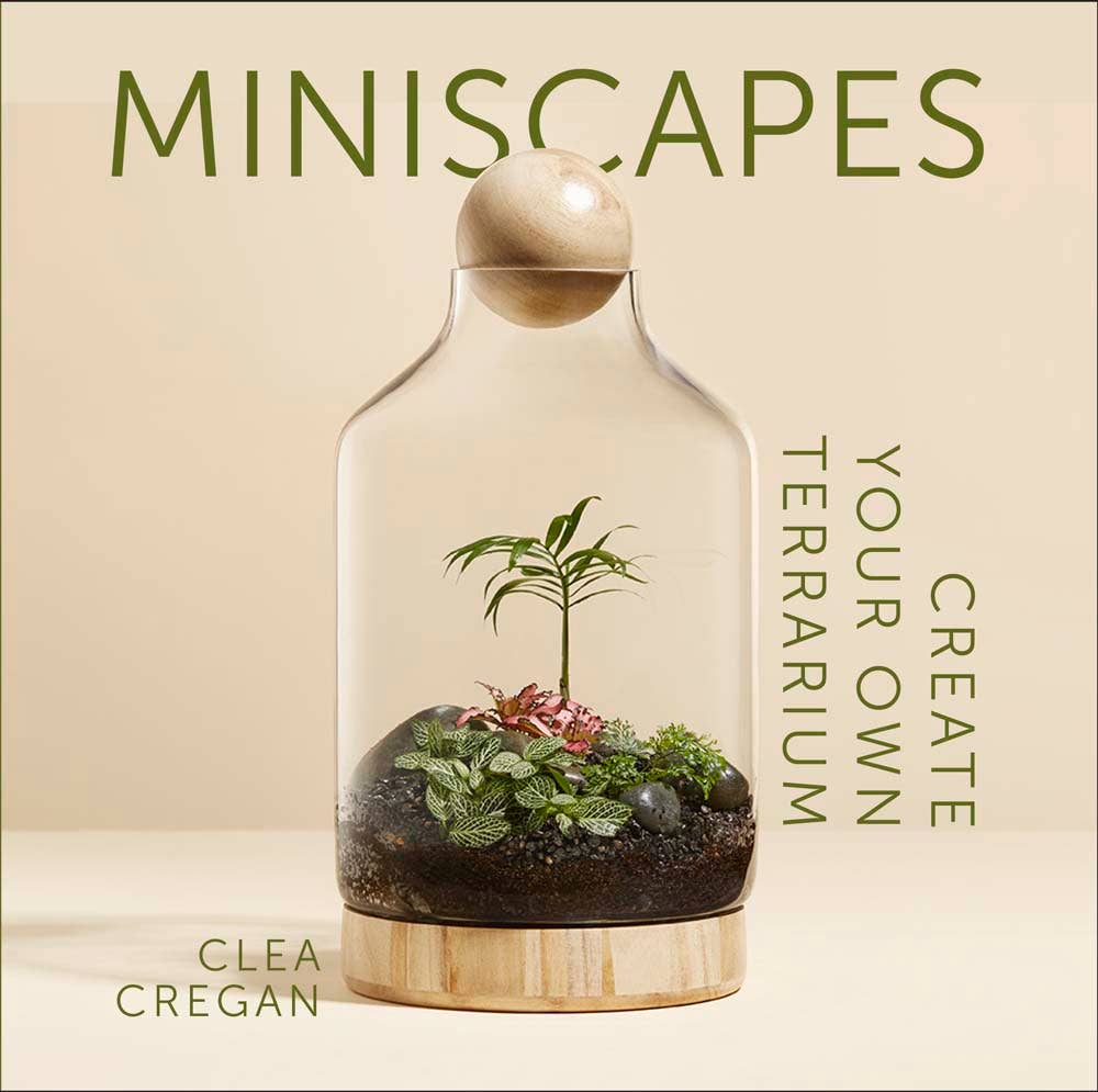 Miniscapes | Miniature Plant Arrangements for Your Space