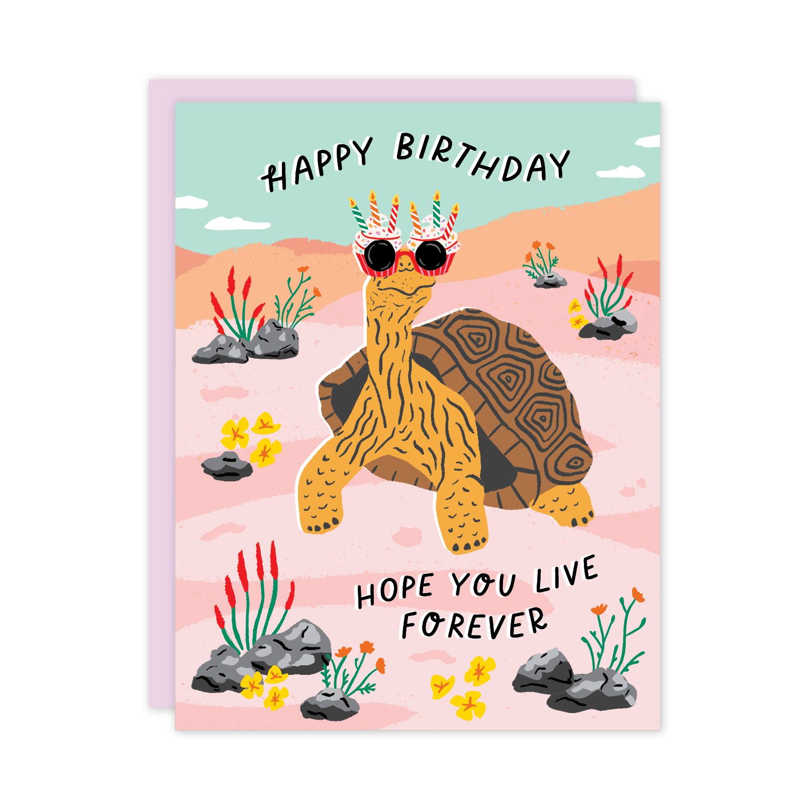 Tortoise Birthday Card