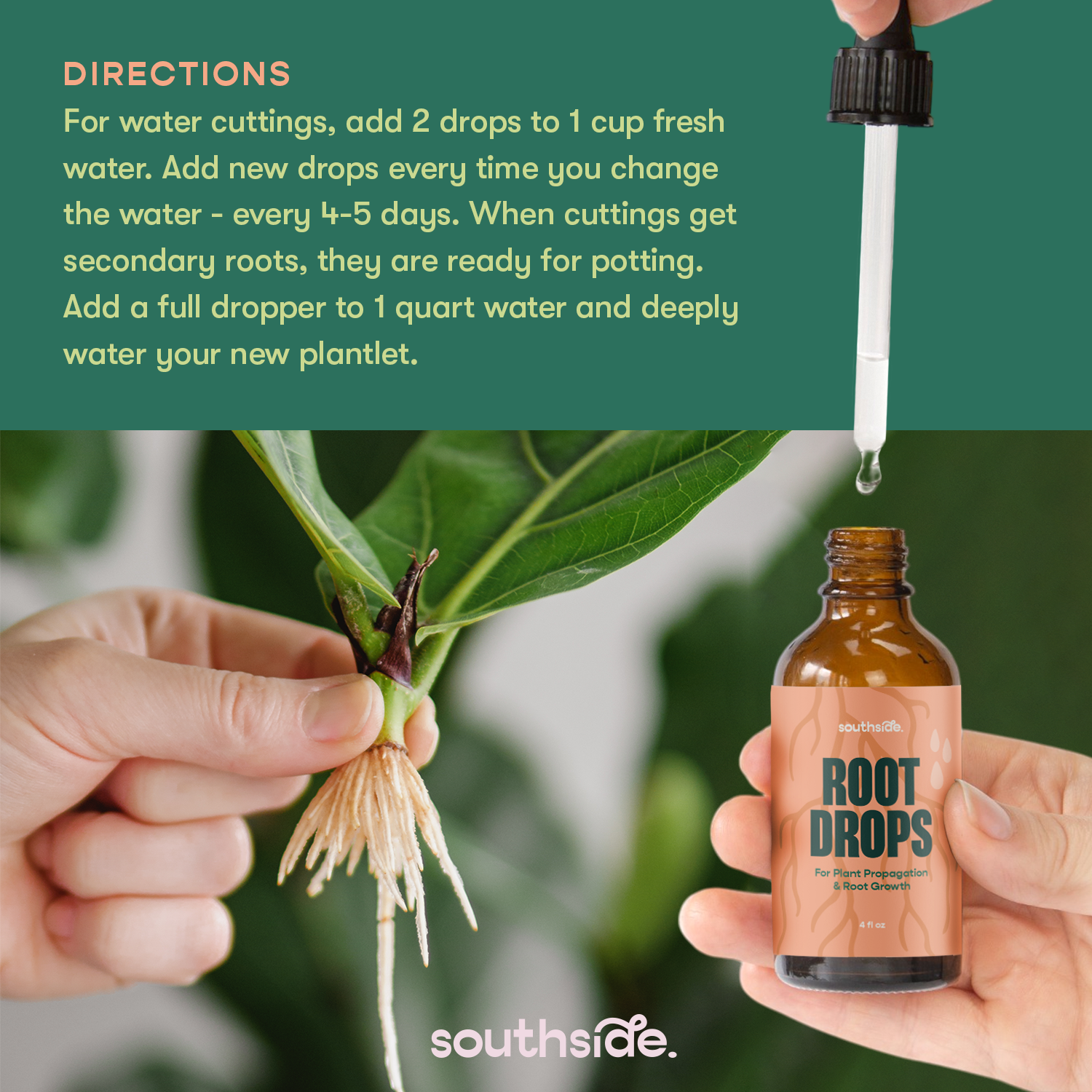 Root Drops - For Propagations & Repotting