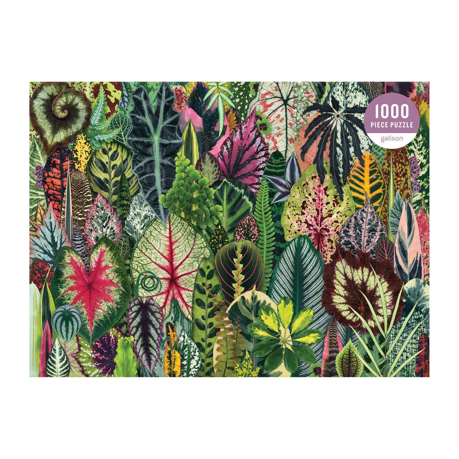 Houseplant Jungle 1000pc Puzzle | Plant Lovers Jigsaw