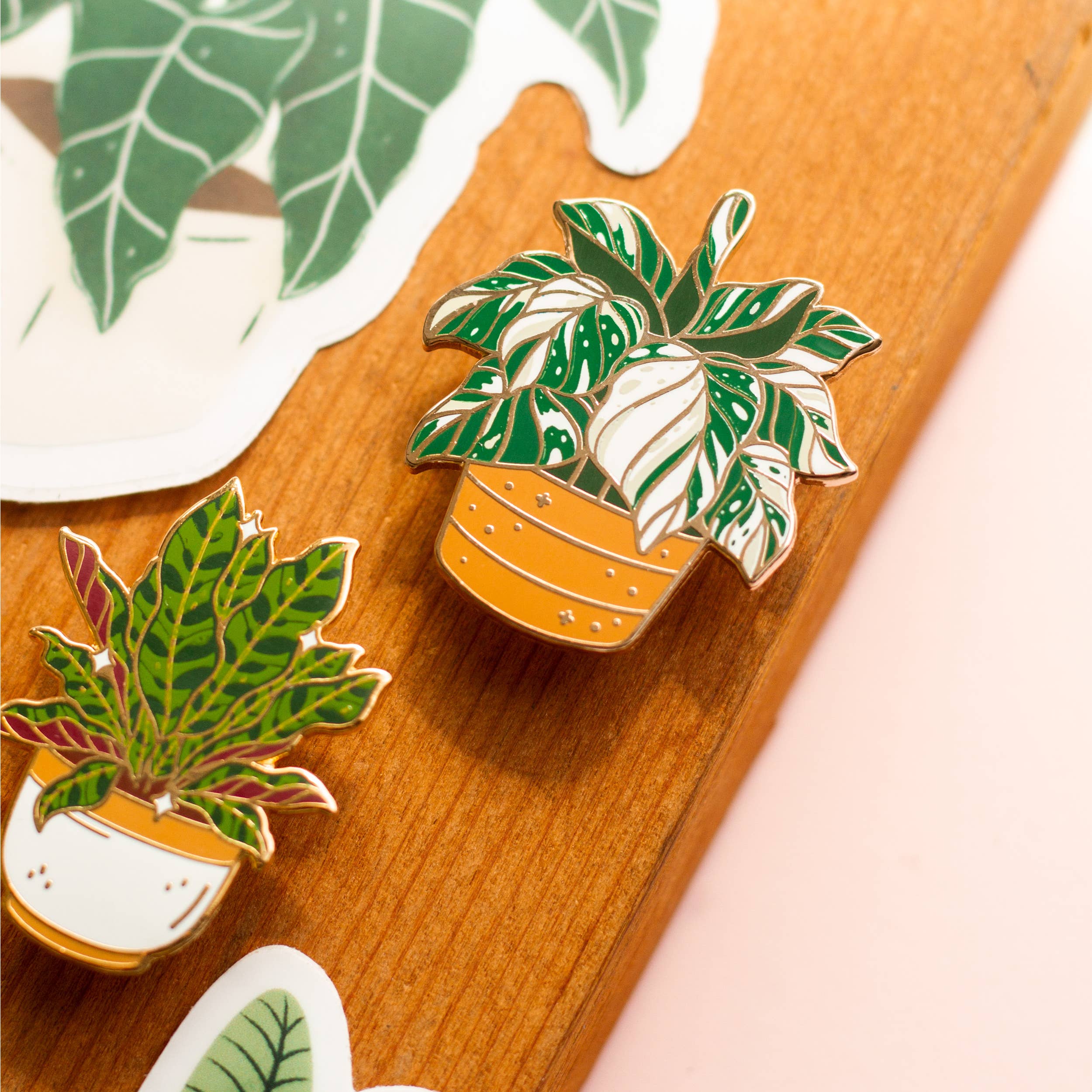 Rattlesnake Plant Enamel Pin