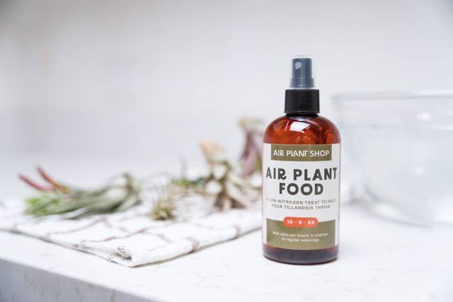 Tillandsia Air Plant Fertilizer | Ready-To-Use Formula