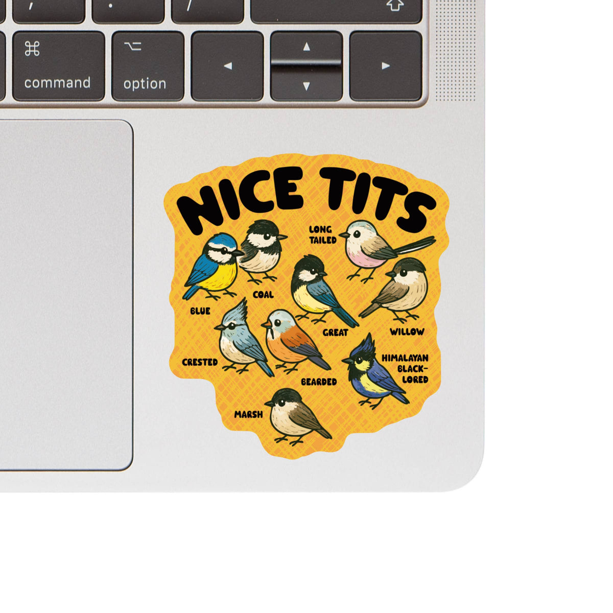 Sassy Nice Tits Bird Pun Species High Quality Vinyl Sticker