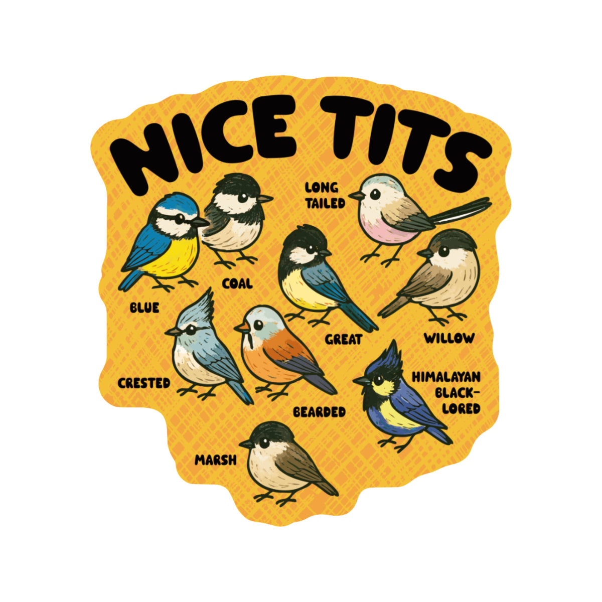 Sassy Nice Tits Bird Pun Species High Quality Vinyl Sticker