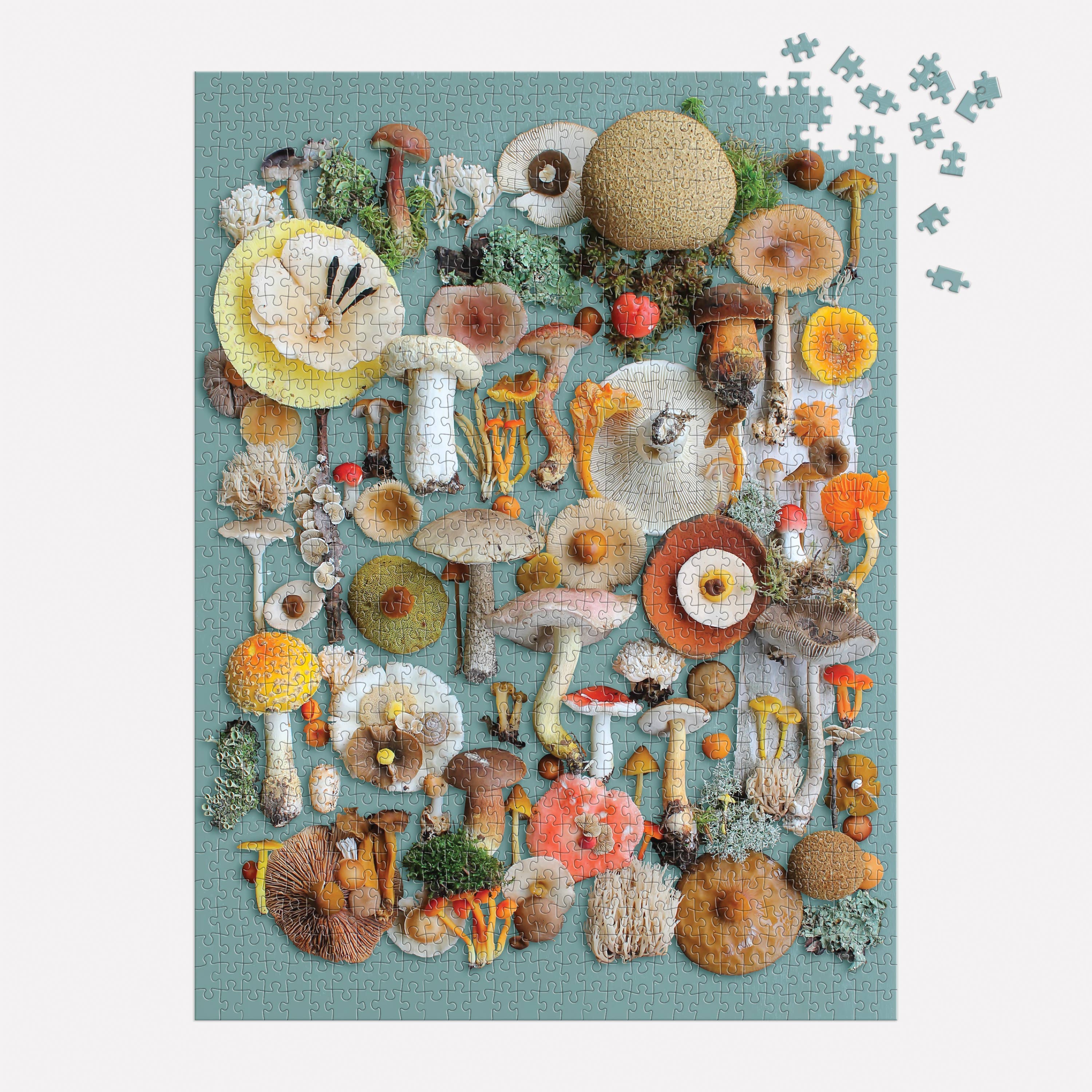 Foraged 1000 Piece Puzzle | Nature-Inspired Jigsaw