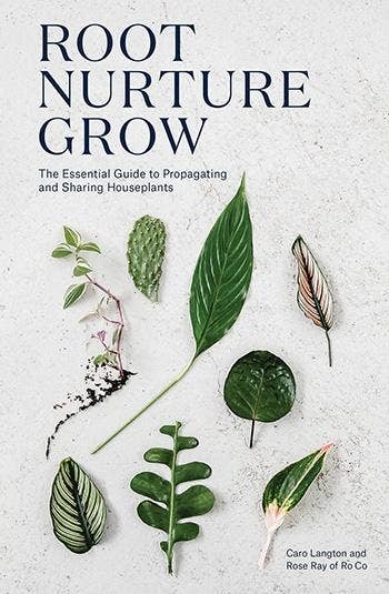 Root, Nurture, Grow | A Plant Lover's Guide