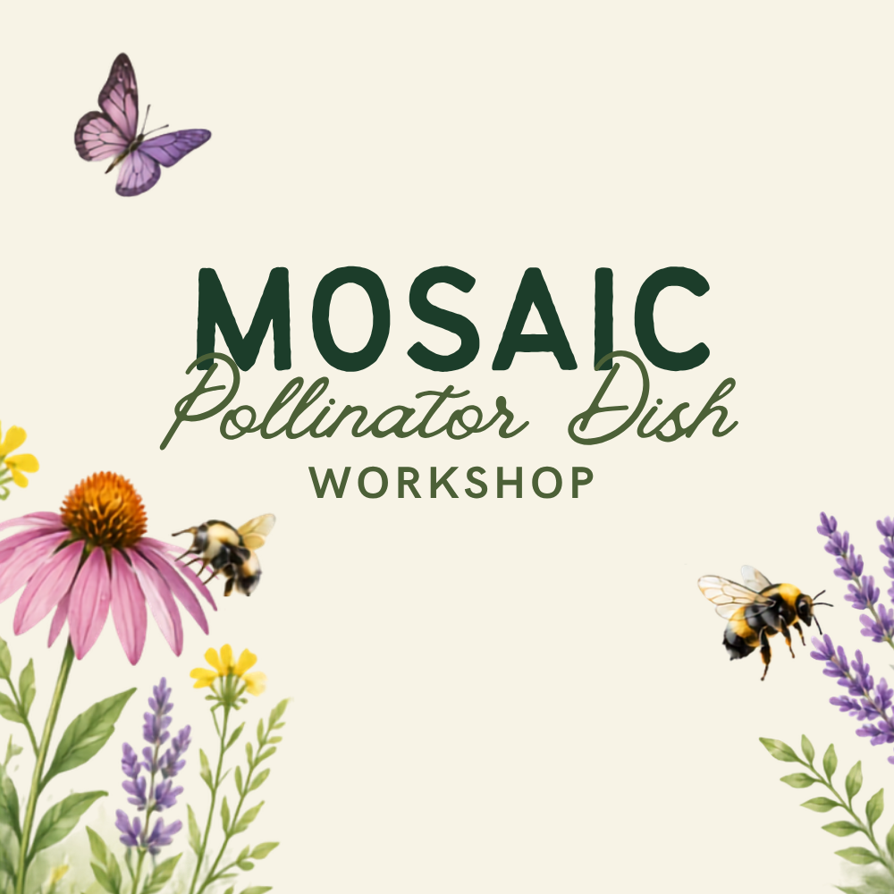 Mosaic Pollinator Dish Workshop @ Tipsy Crow
